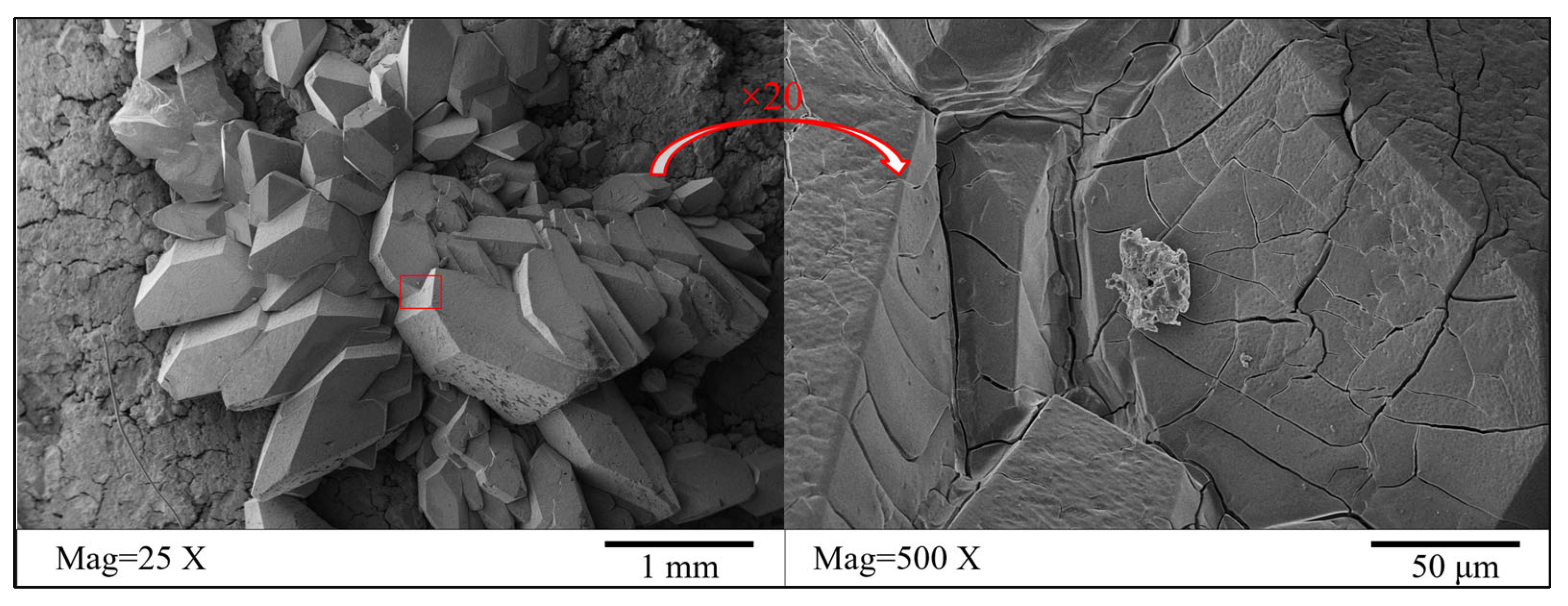 Materials 16 05951 g006