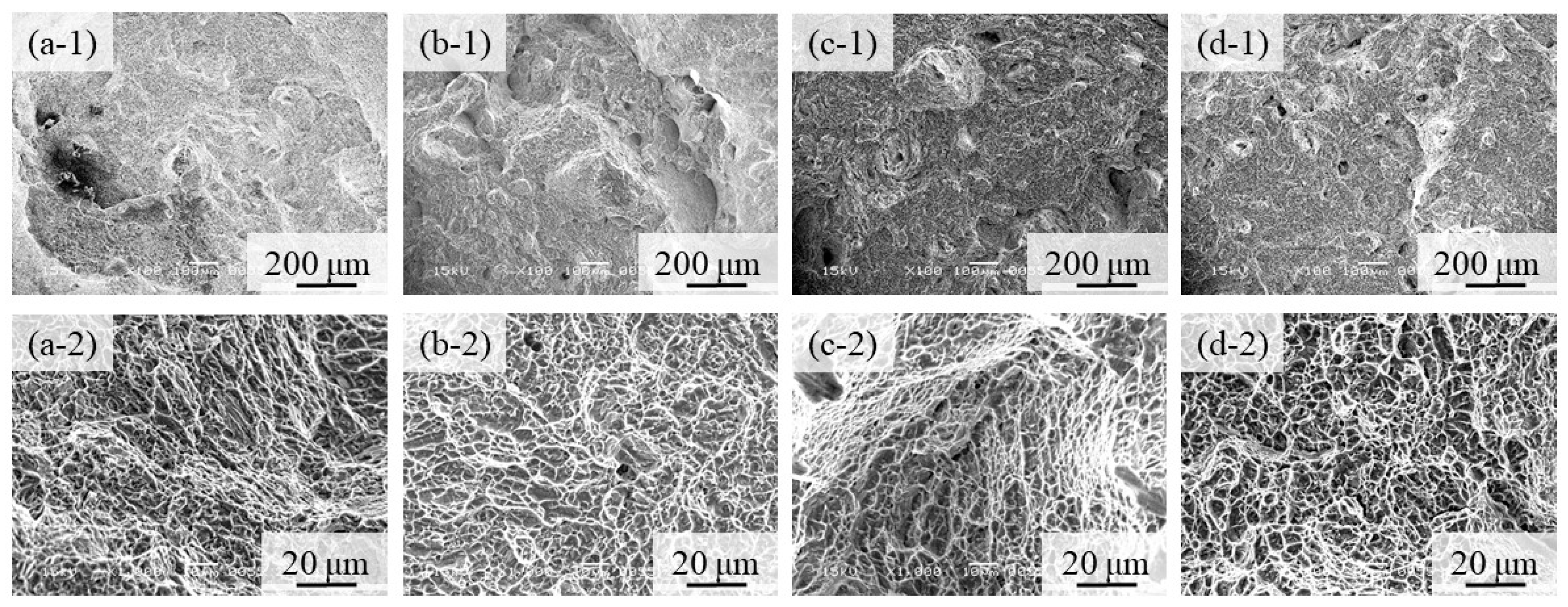 Materials 16 05974 g014 Materials 16 05974 g014