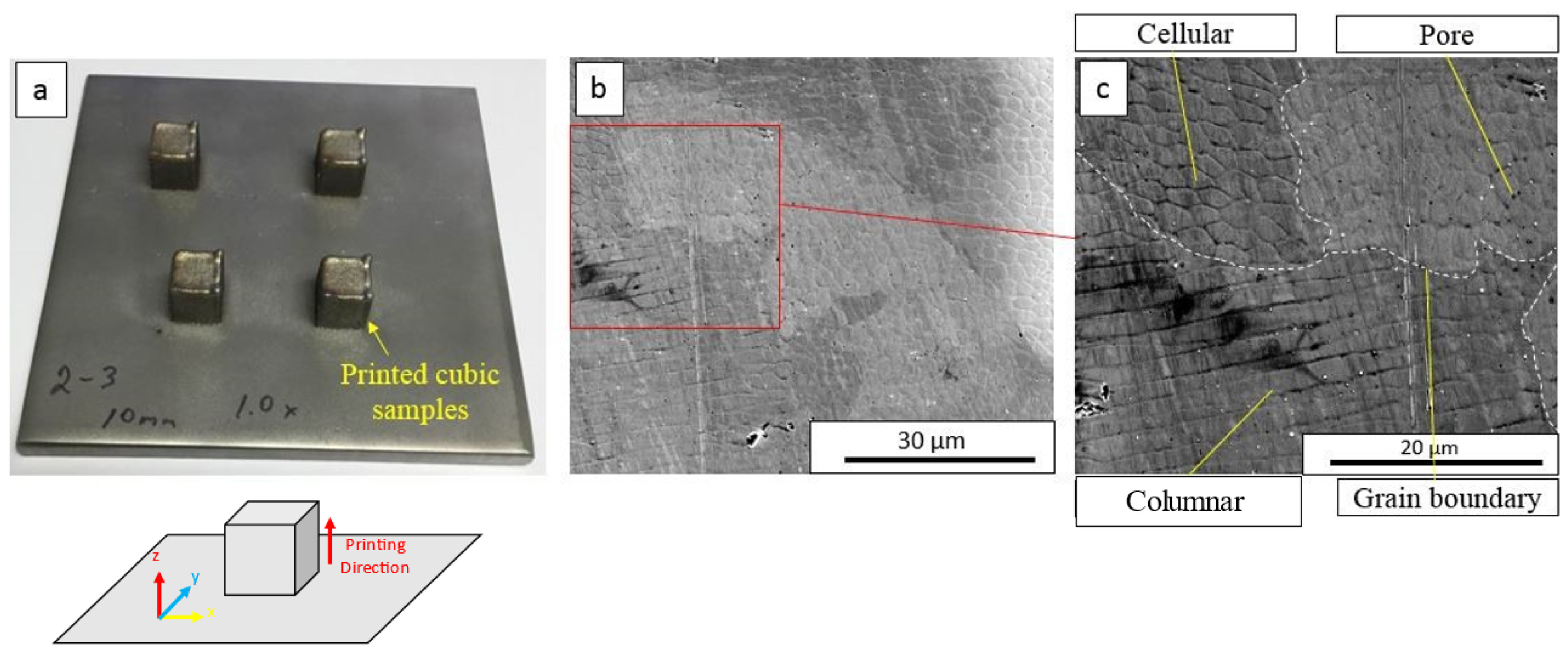 Materials 16 05980 g001