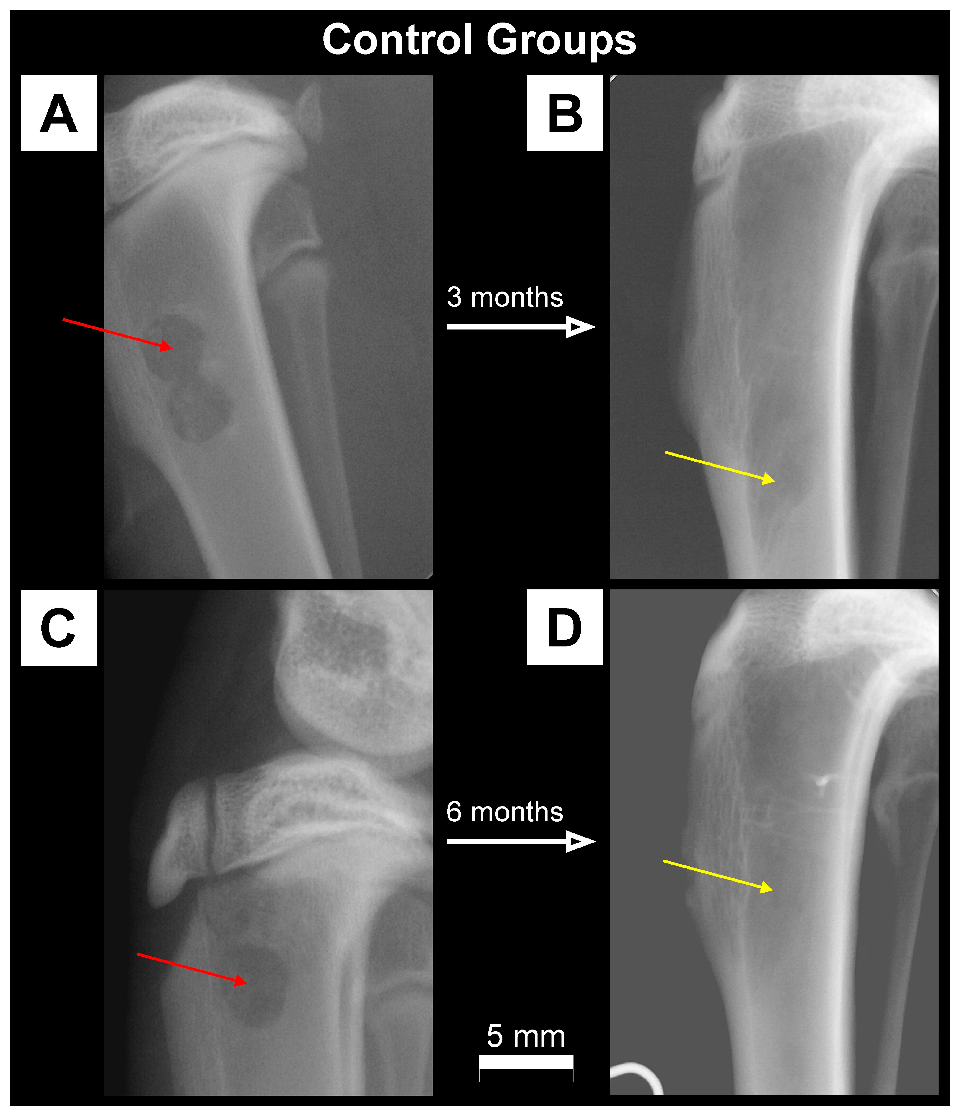 Materials 16 05992 g004