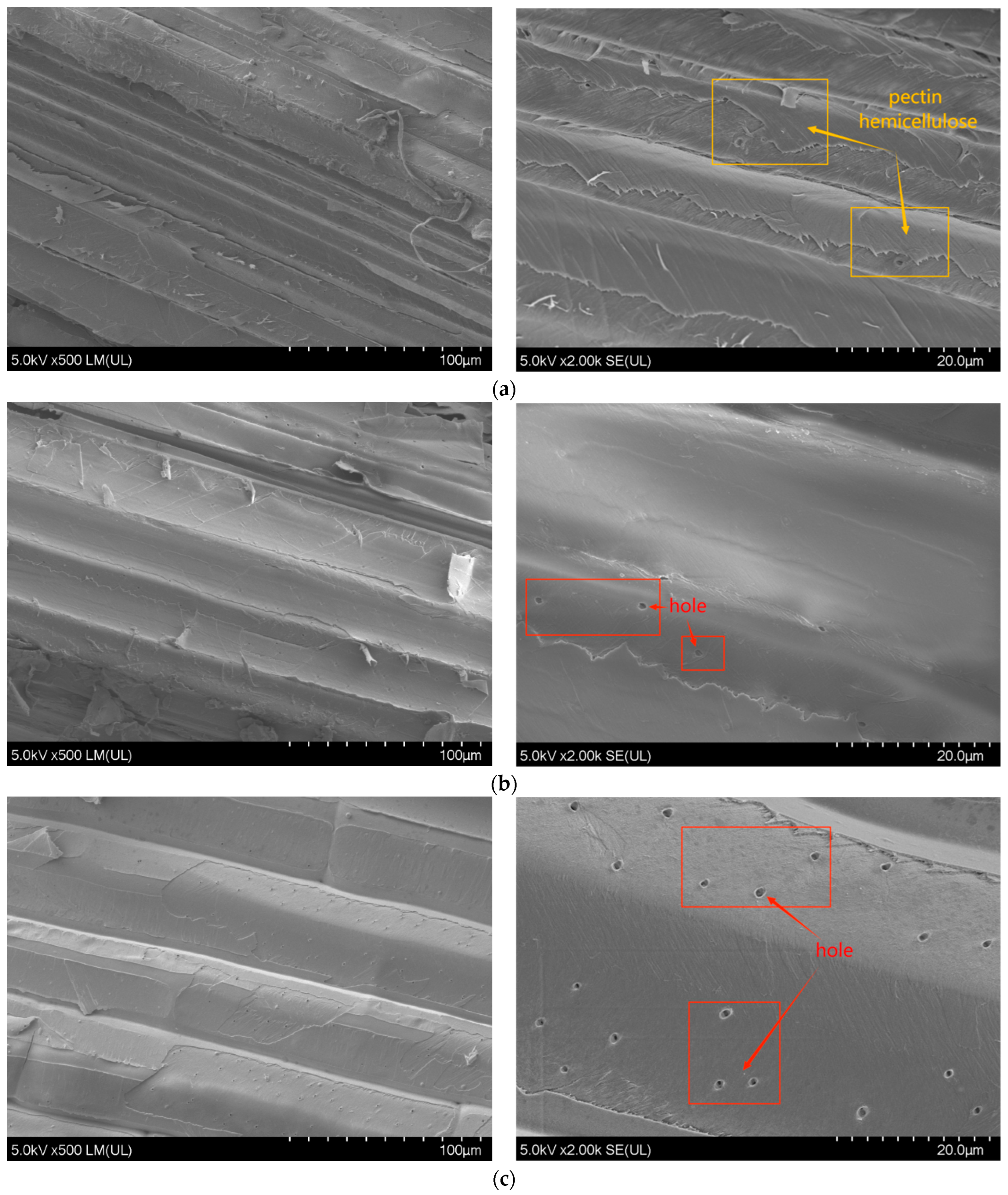 Materials 16 05996 g007a