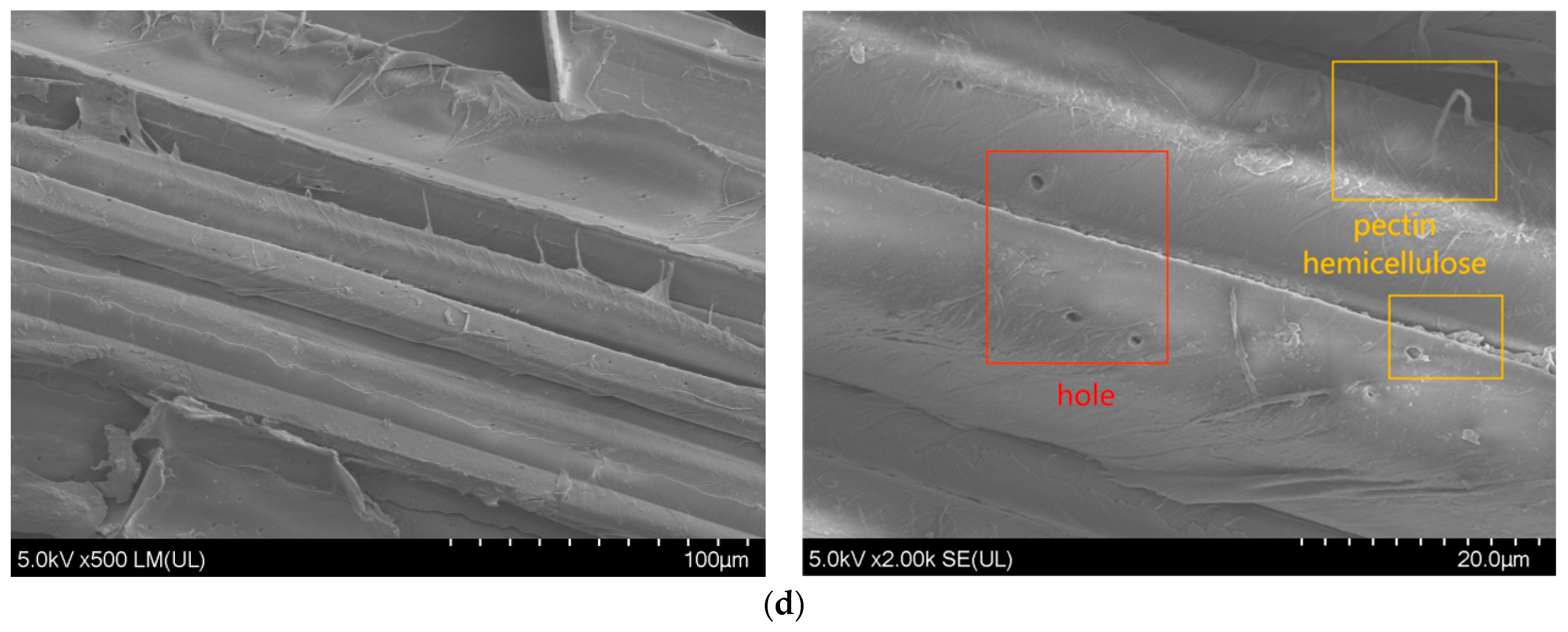 Materials 16 05996 g007b