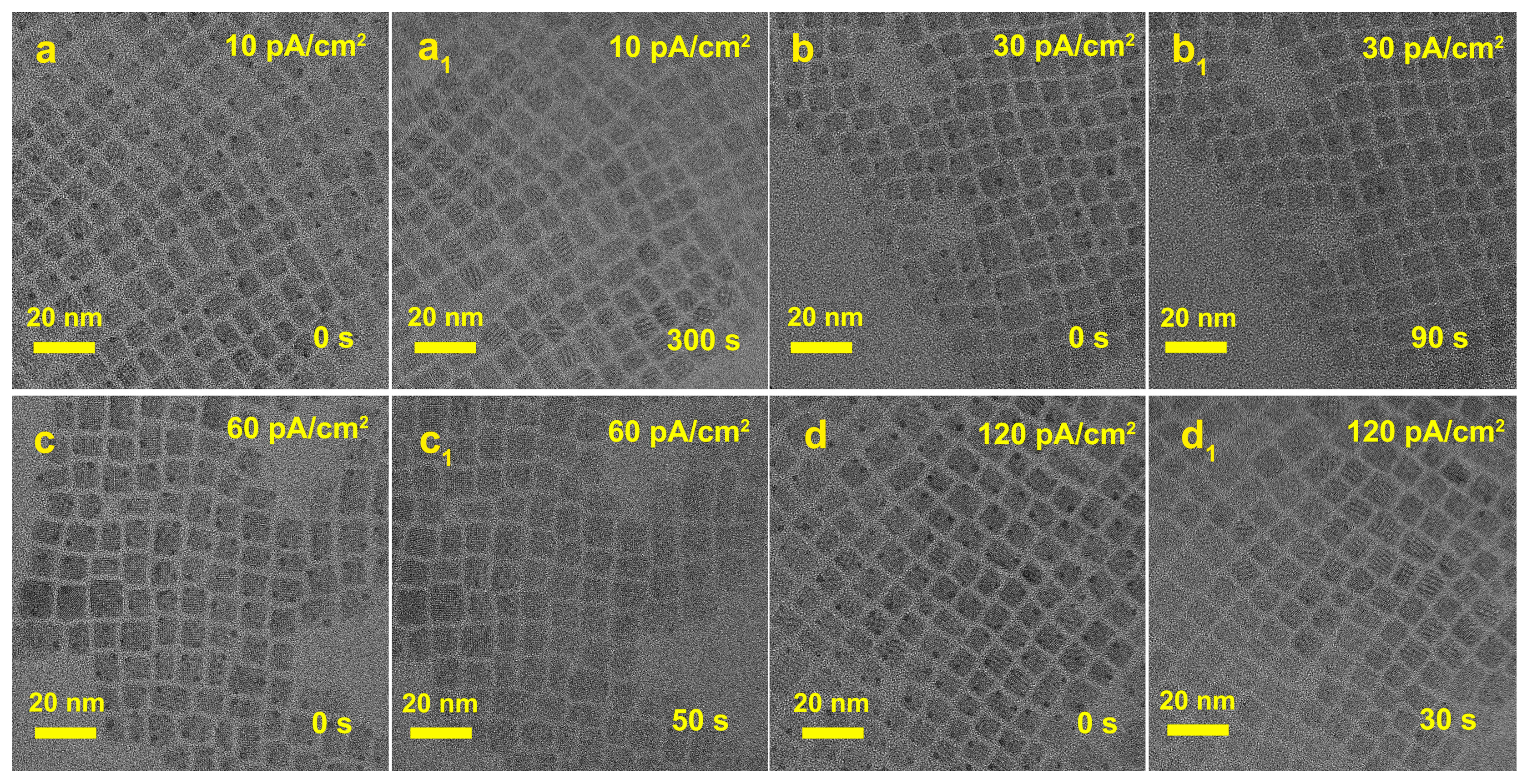 Materials 16 06010 g004