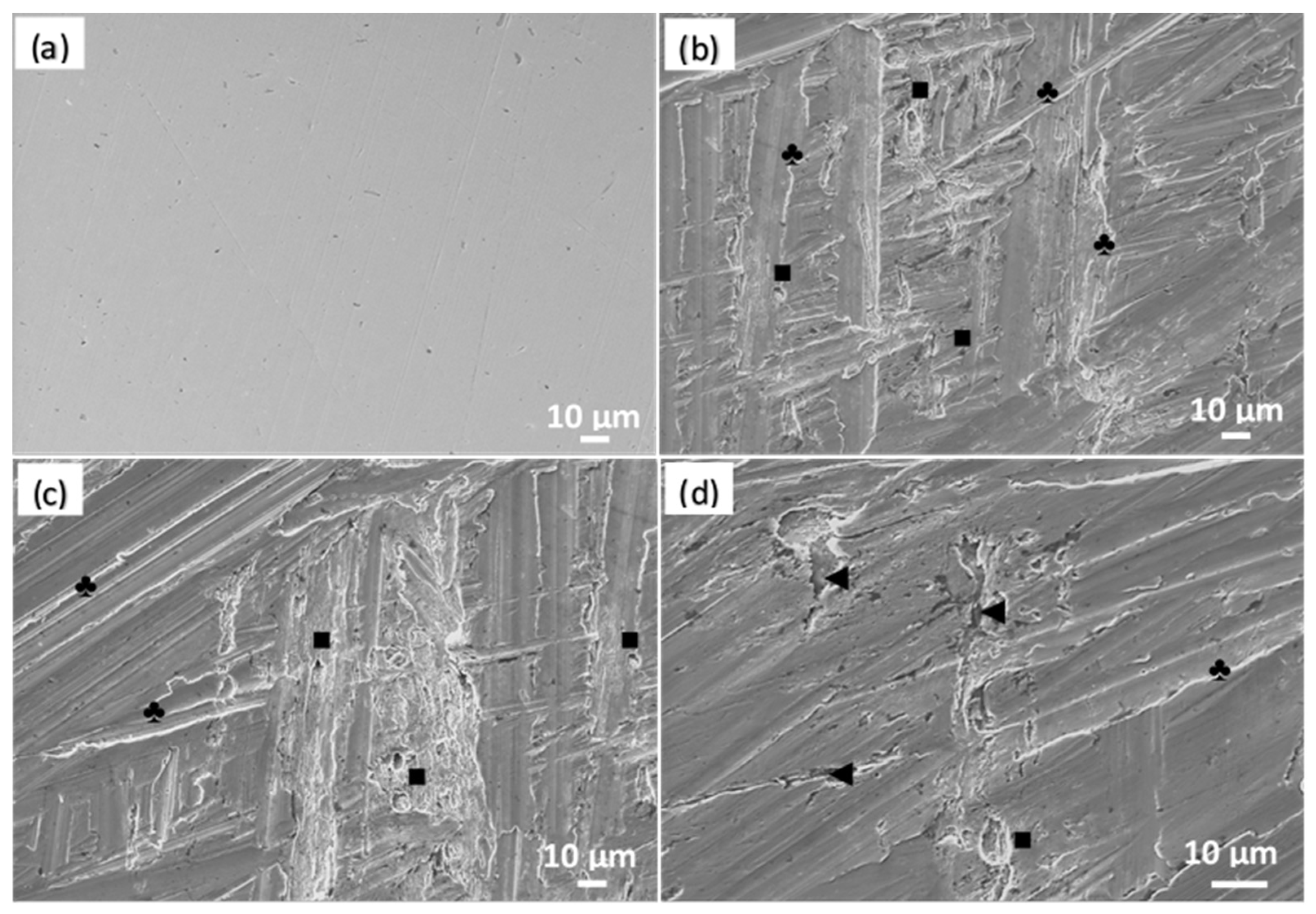 Materials 16 06017 g006