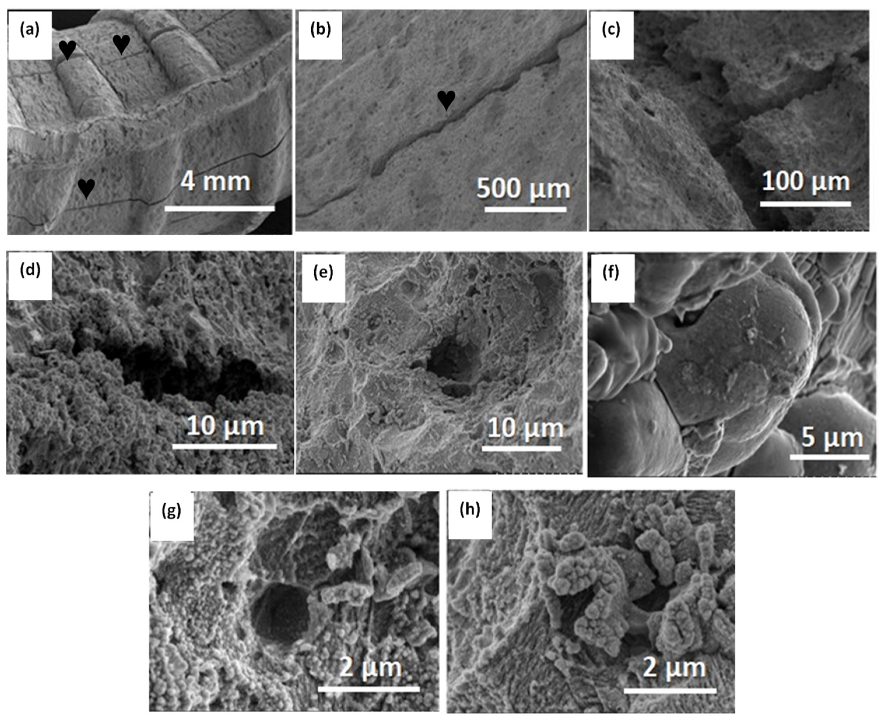 Materials 16 06017 g008