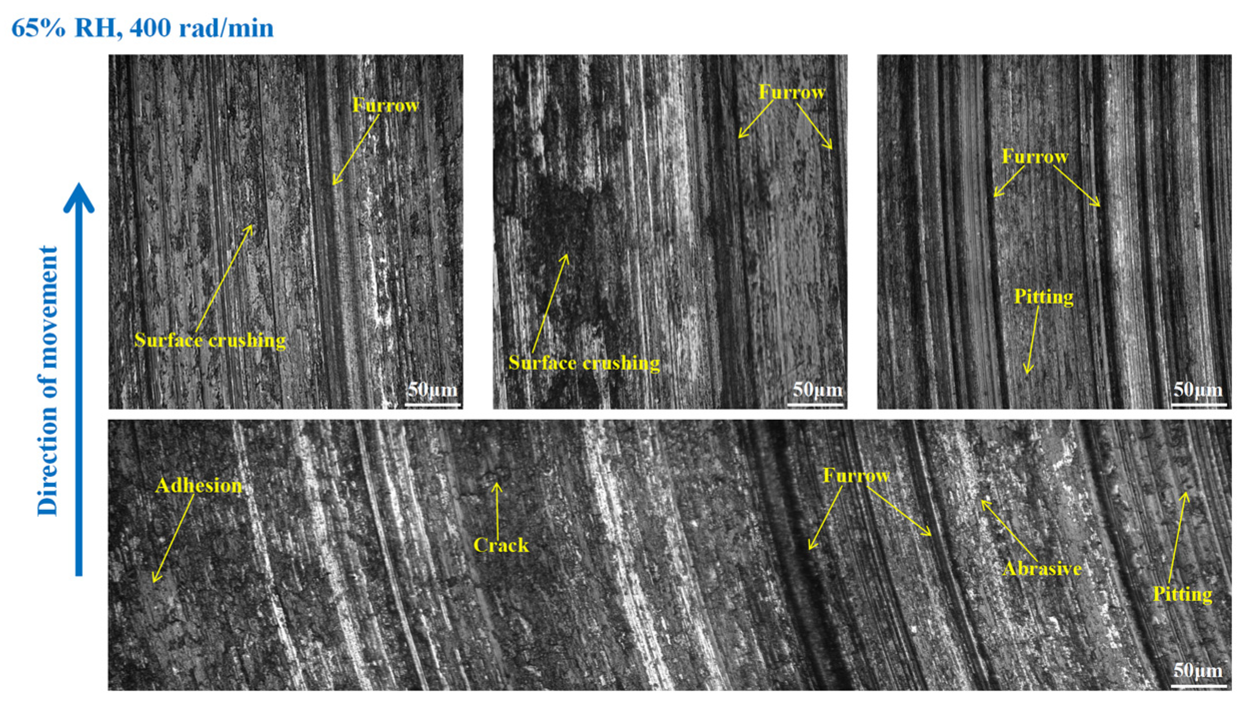 Materials 16 06026 g010
