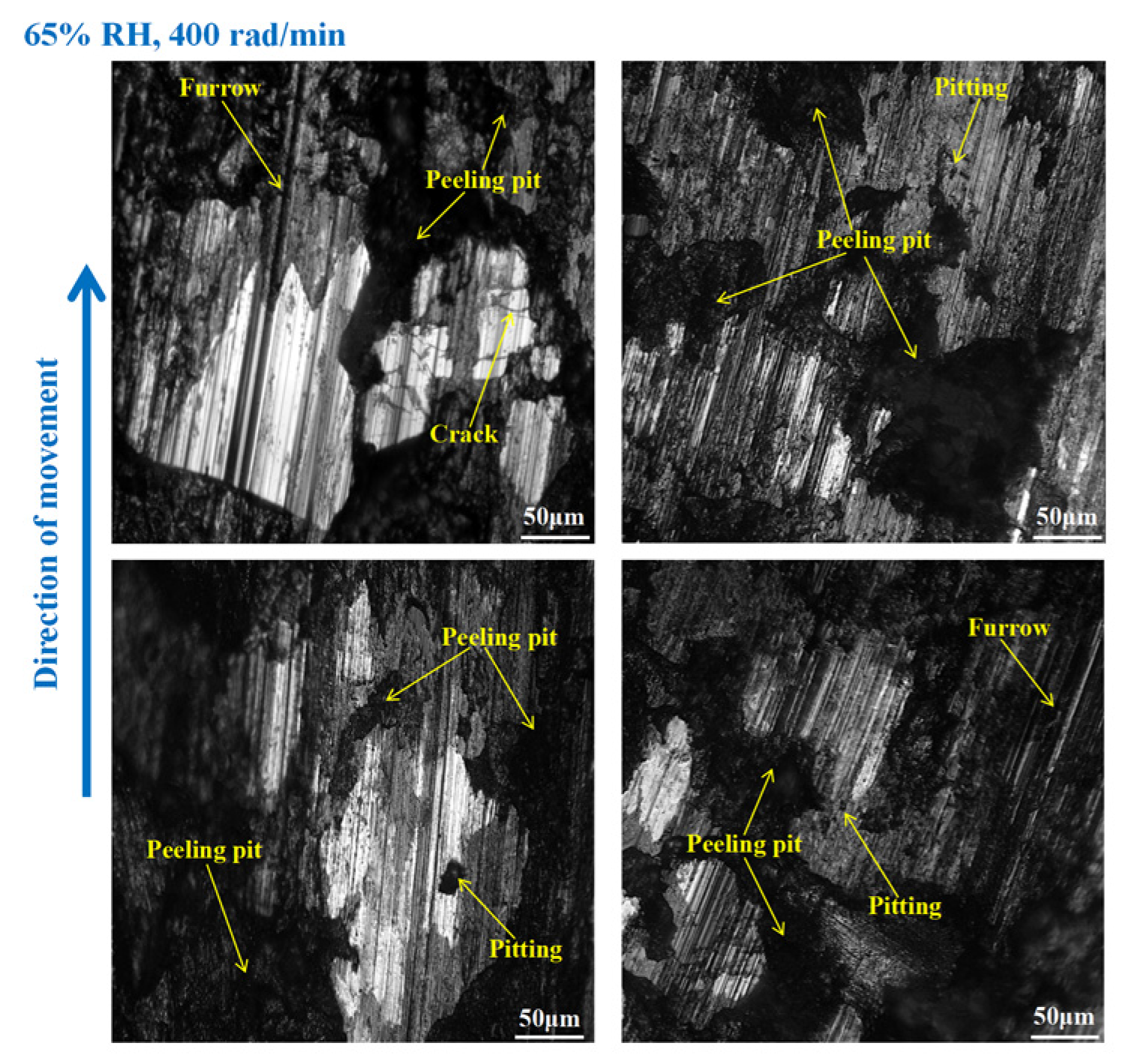 Materials 16 06026 g016