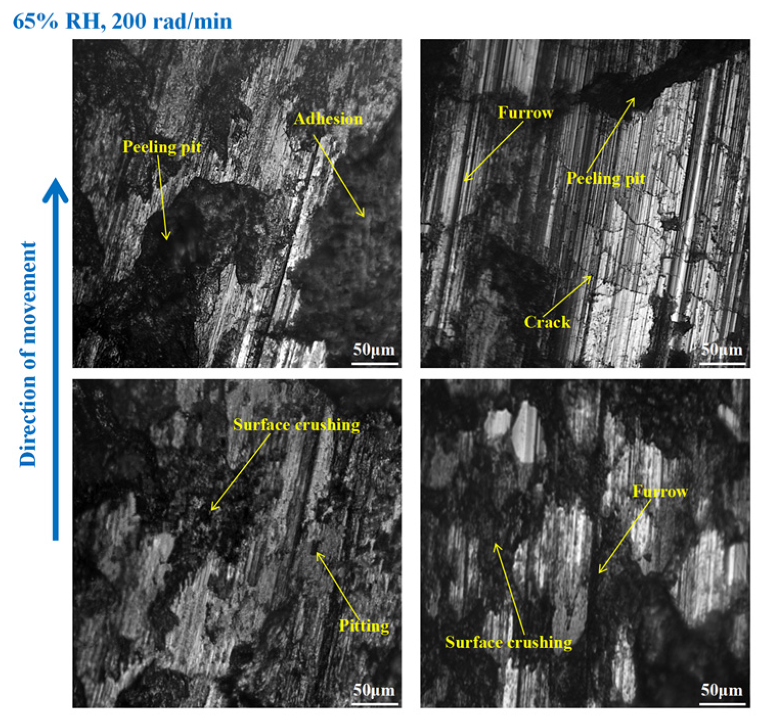 Materials 16 06026 g017