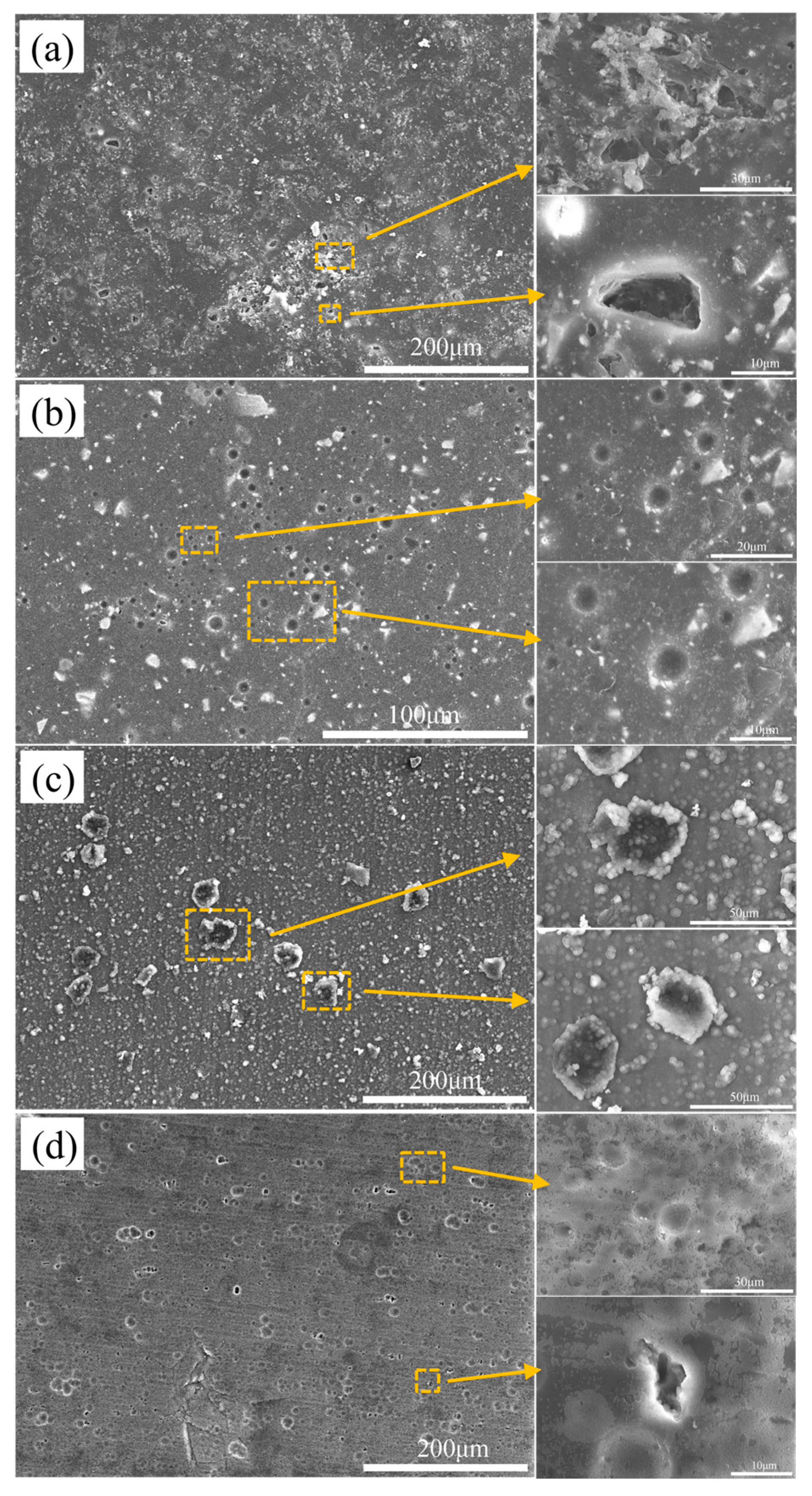 Materials 16 06027 g002