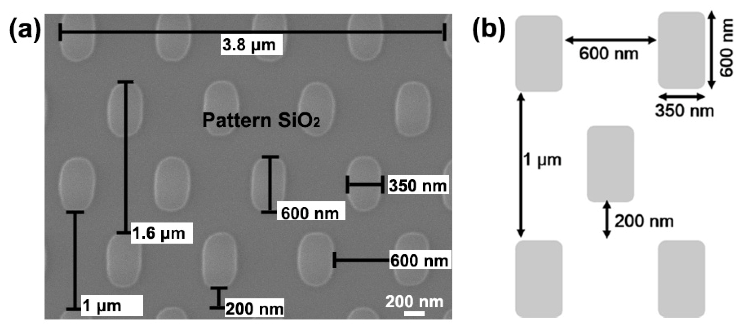 Materials 16 06035 g001