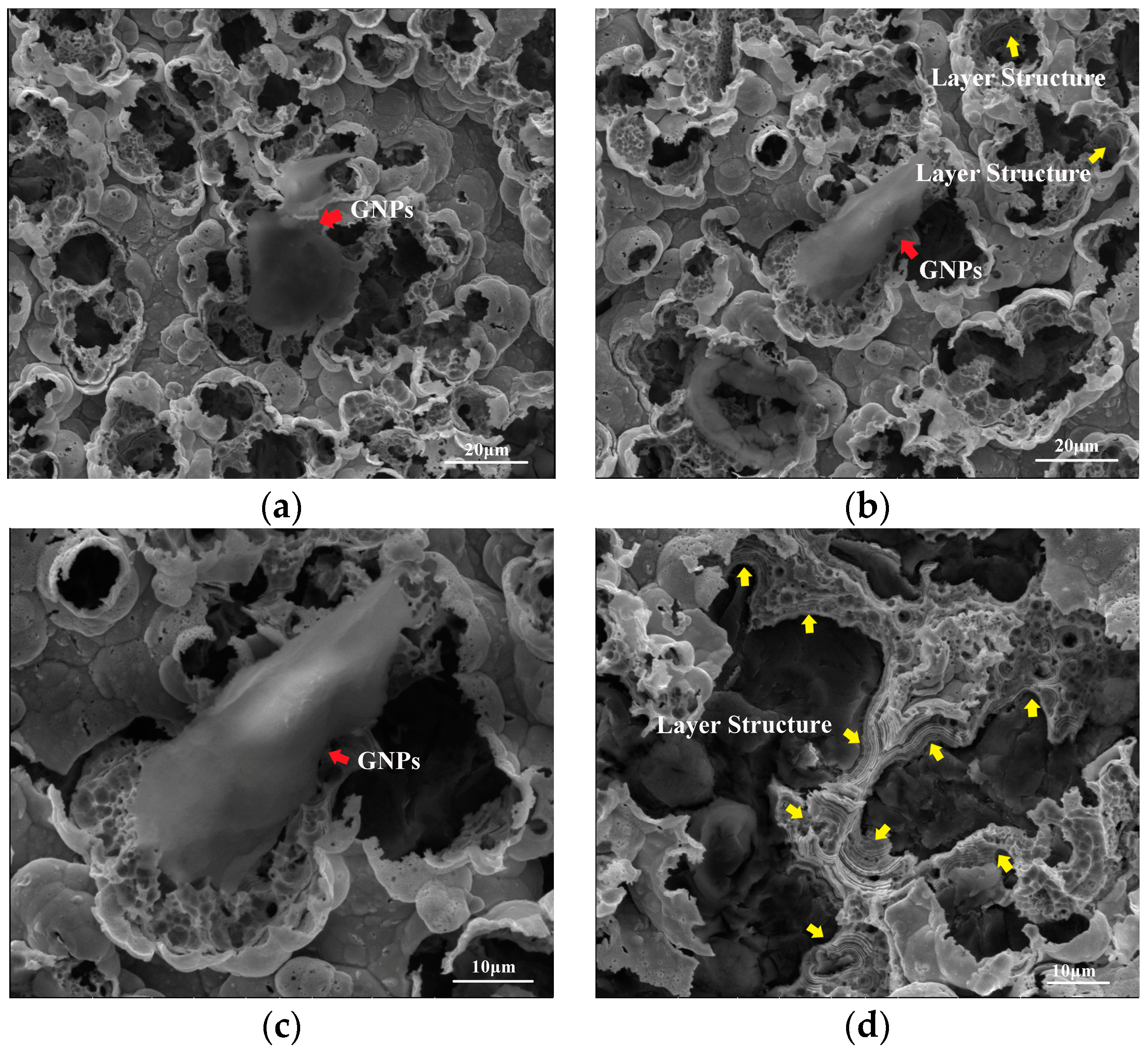 Materials 16 06062 g003