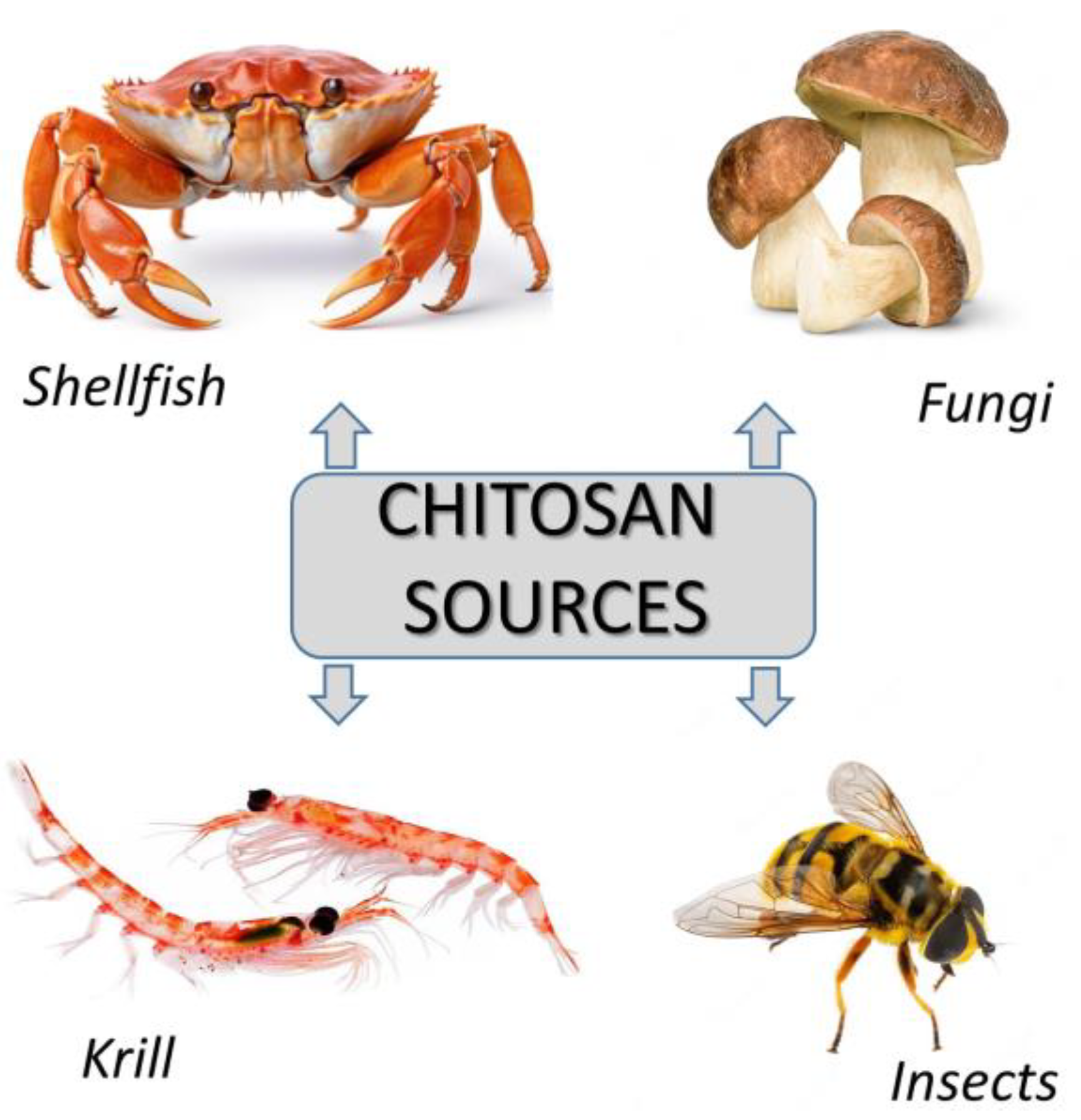 Materials Free Full Text Chitosan and Its Derivatives