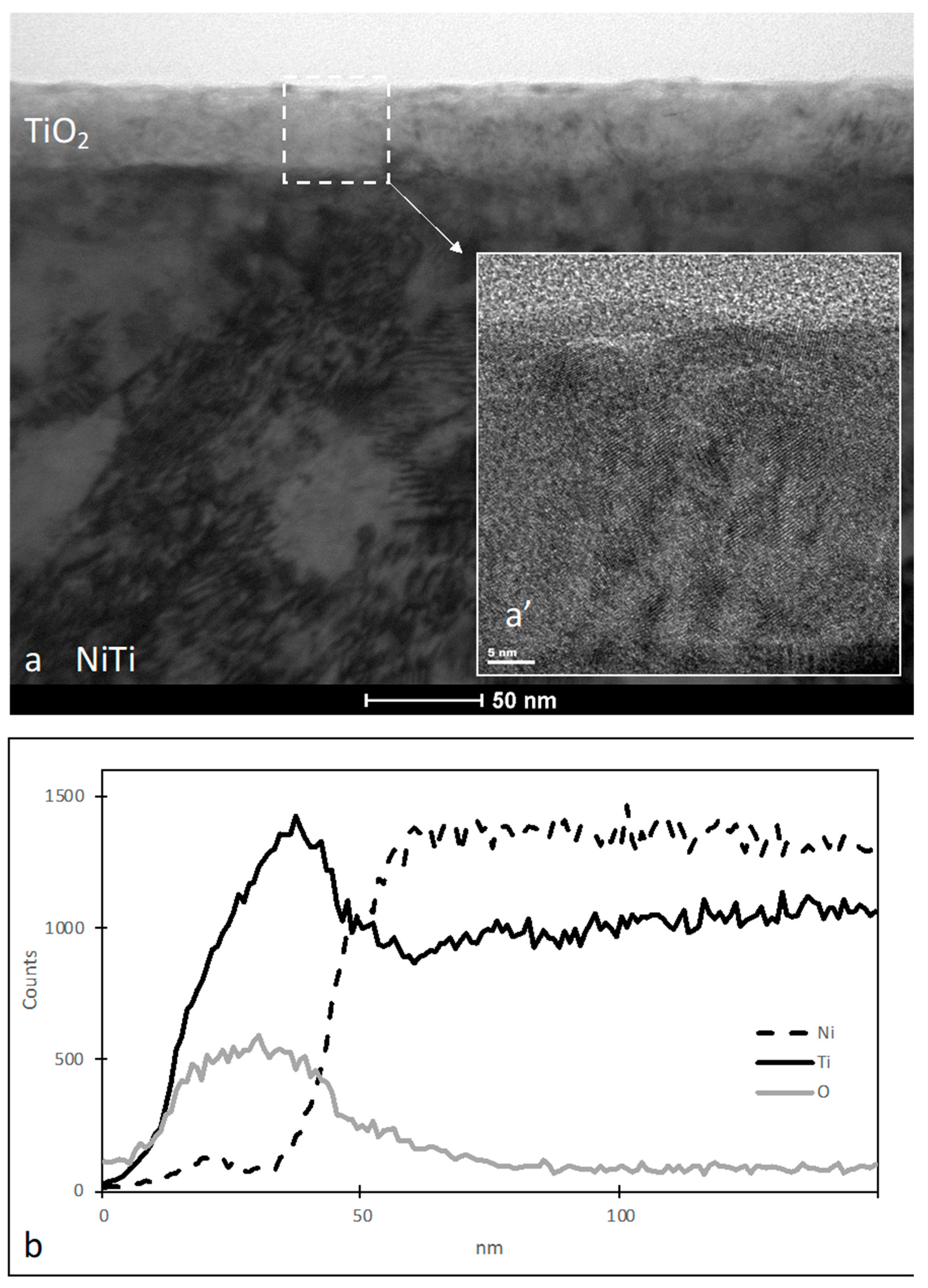 Materials 16 06086 g001