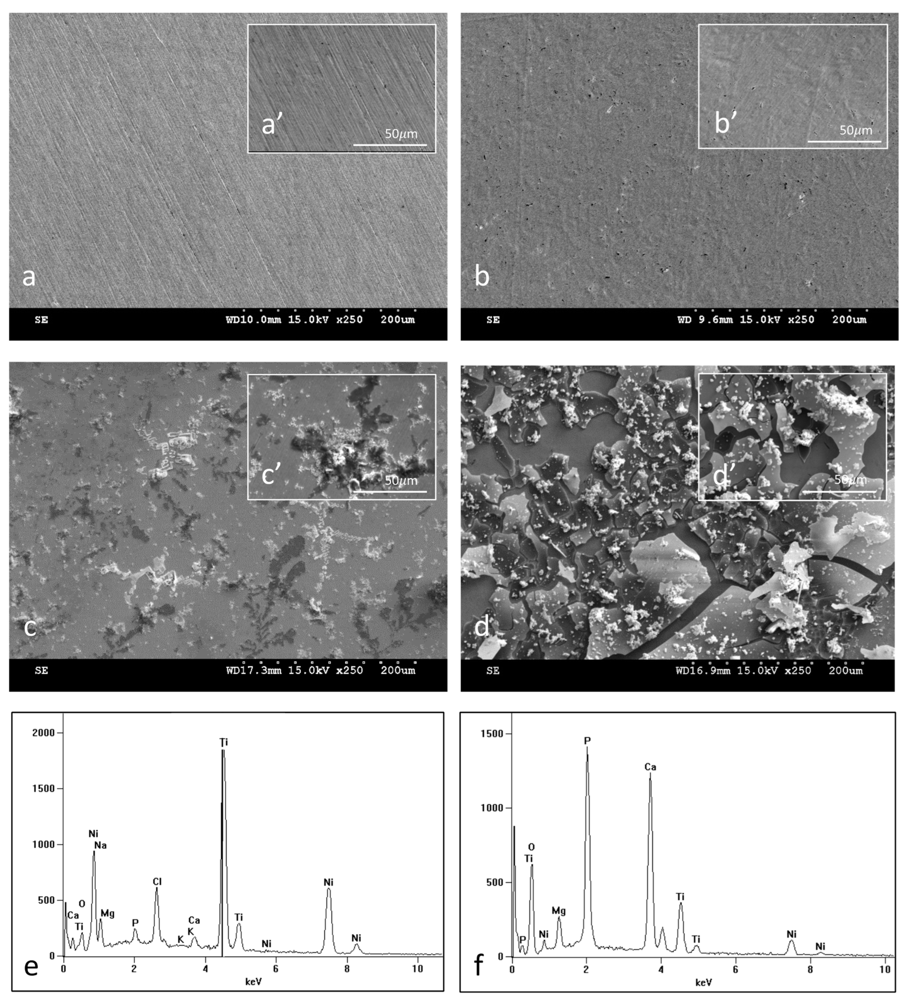 Materials 16 06086 g002