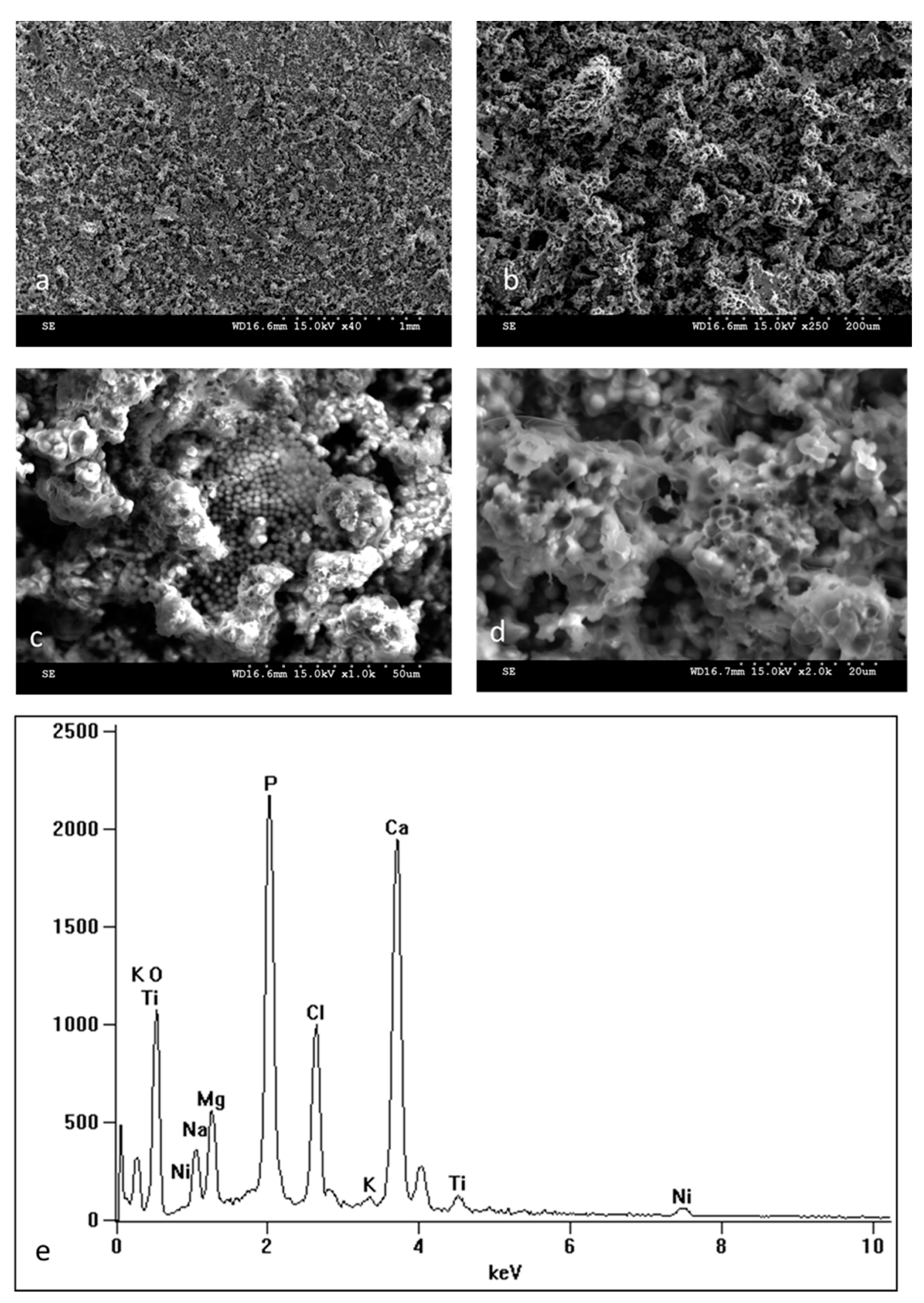 Materials 16 06086 g003