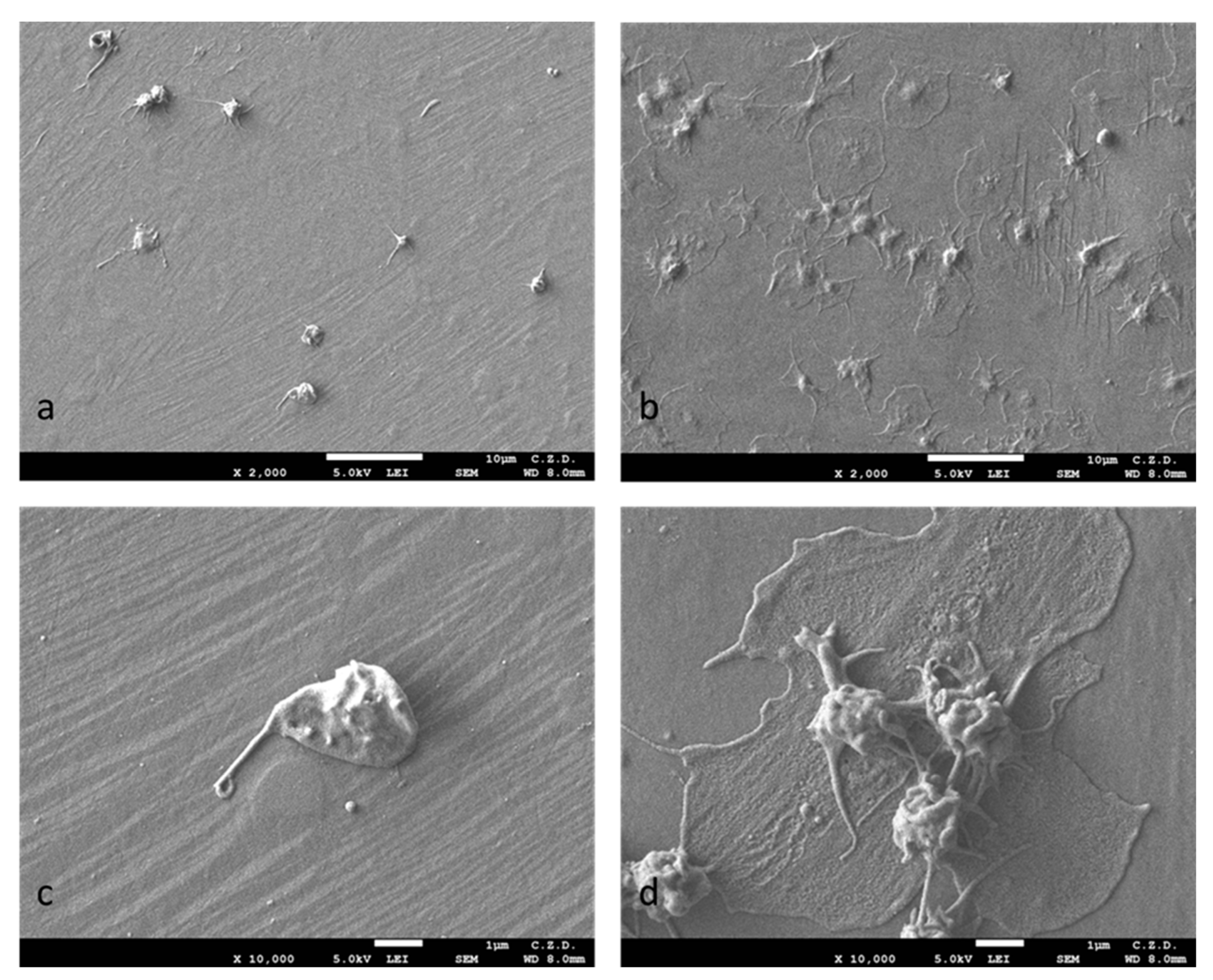 Materials 16 06086 g005