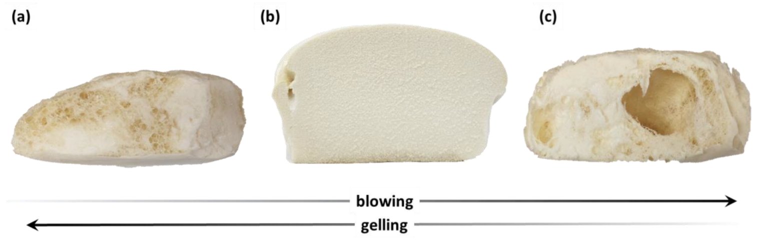 Materials 16 06139 g007