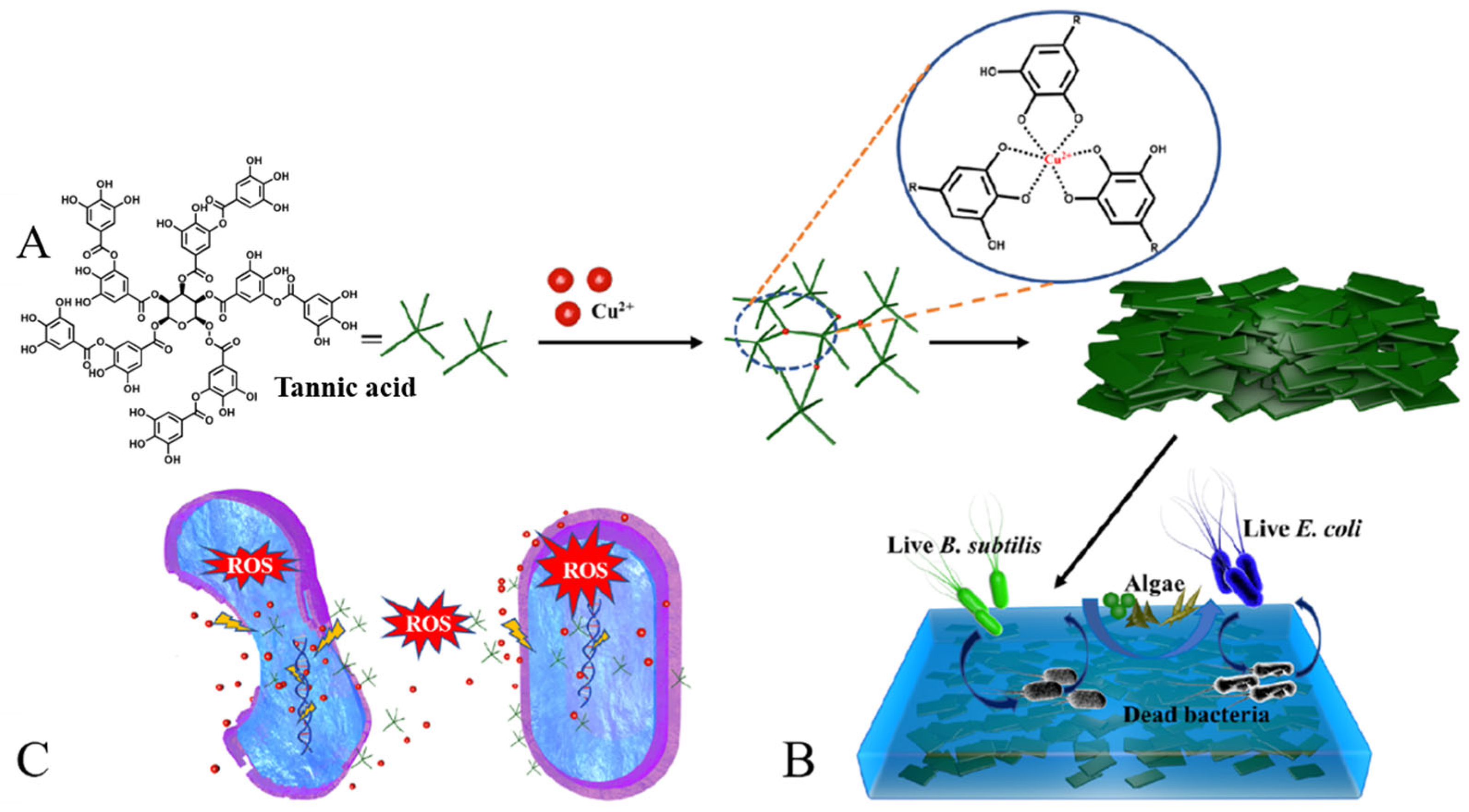 Materials 16 06190 g011