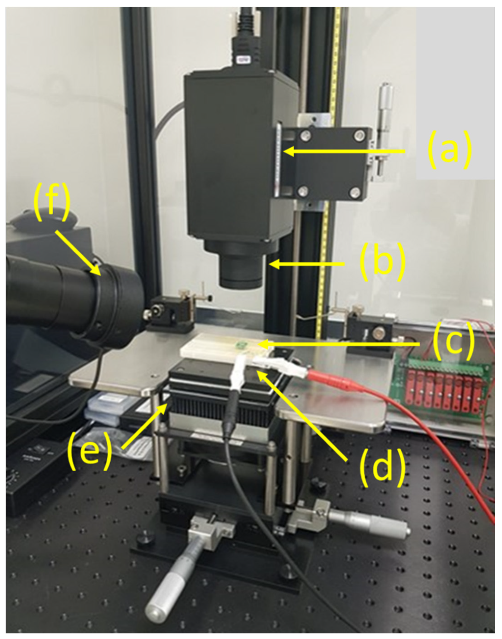 Materials 16 06202 g005