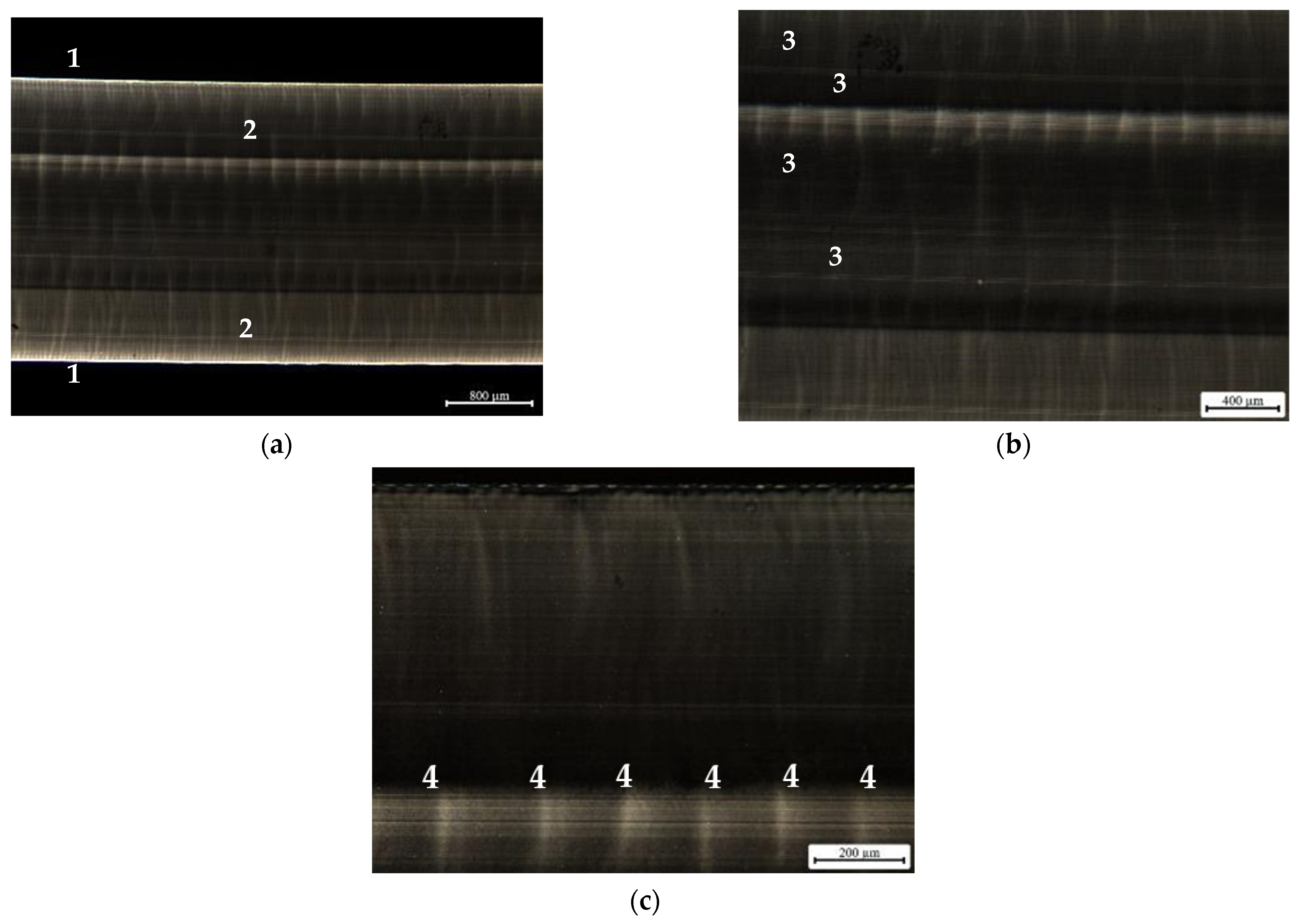 Materials 16 06219 g008