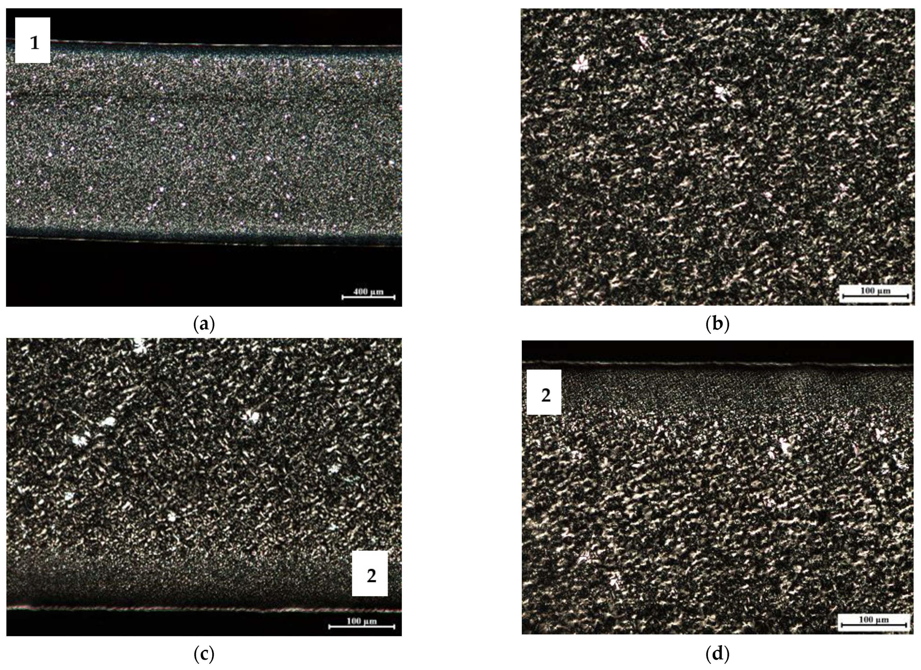 Materials 16 06219 g010