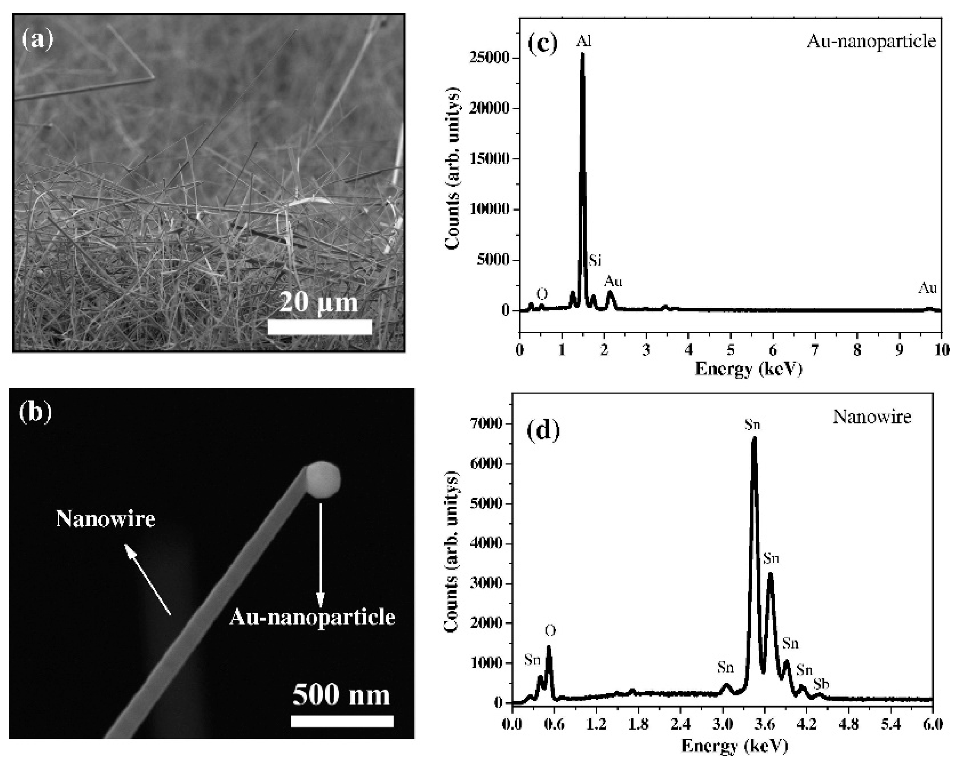 Materials 16 06233 g003