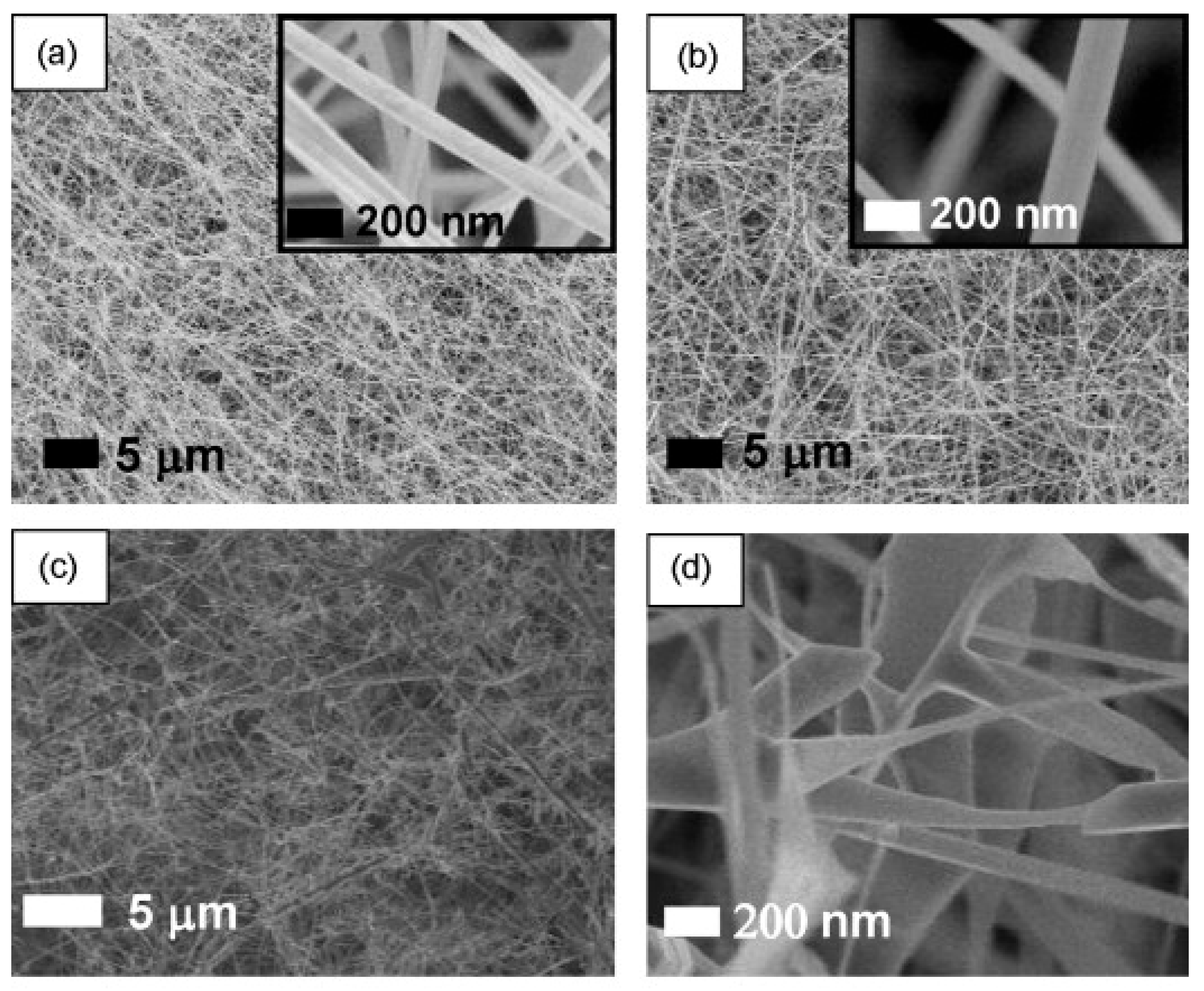 Materials 16 06233 g005