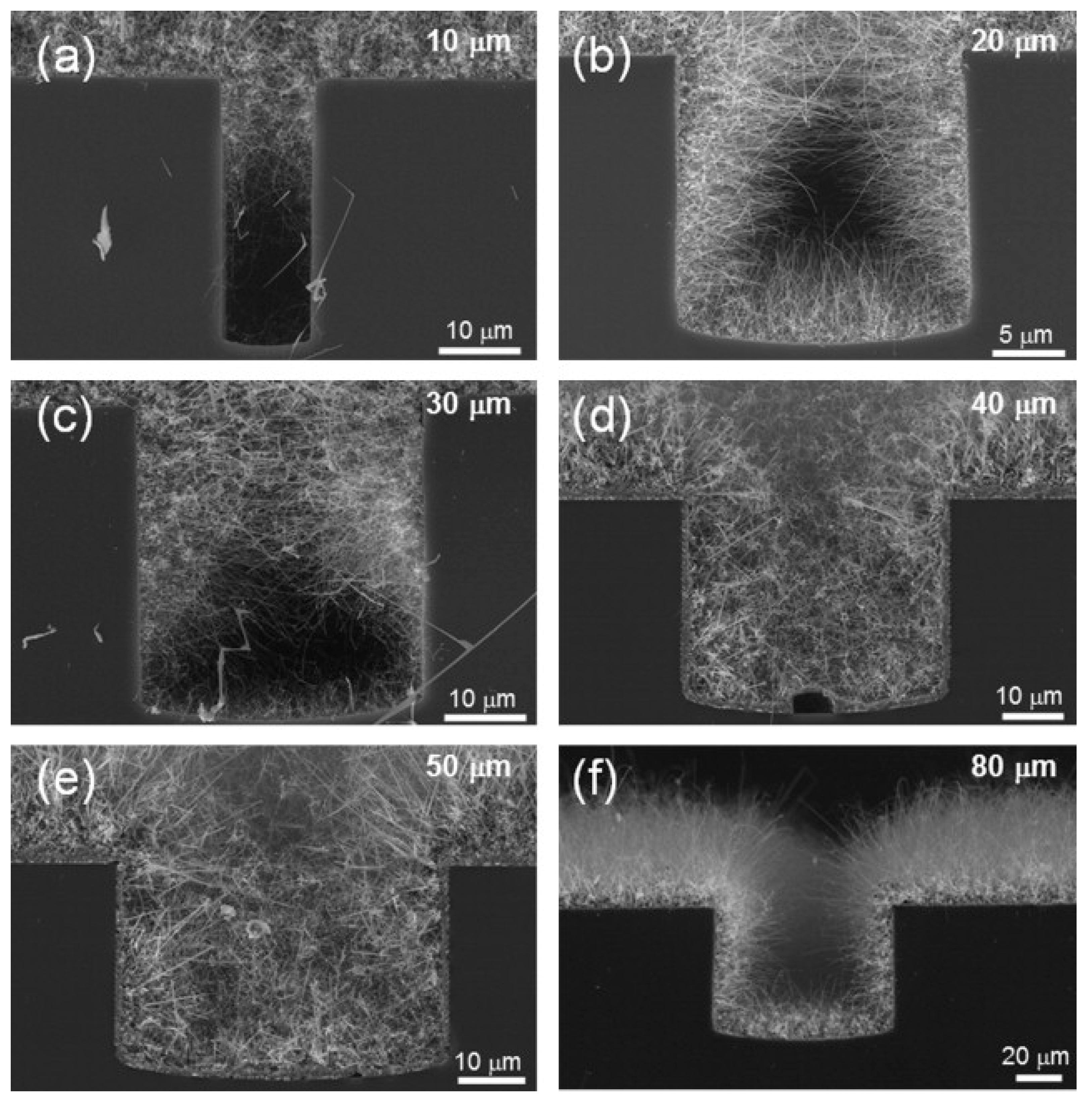 Materials 16 06233 g007