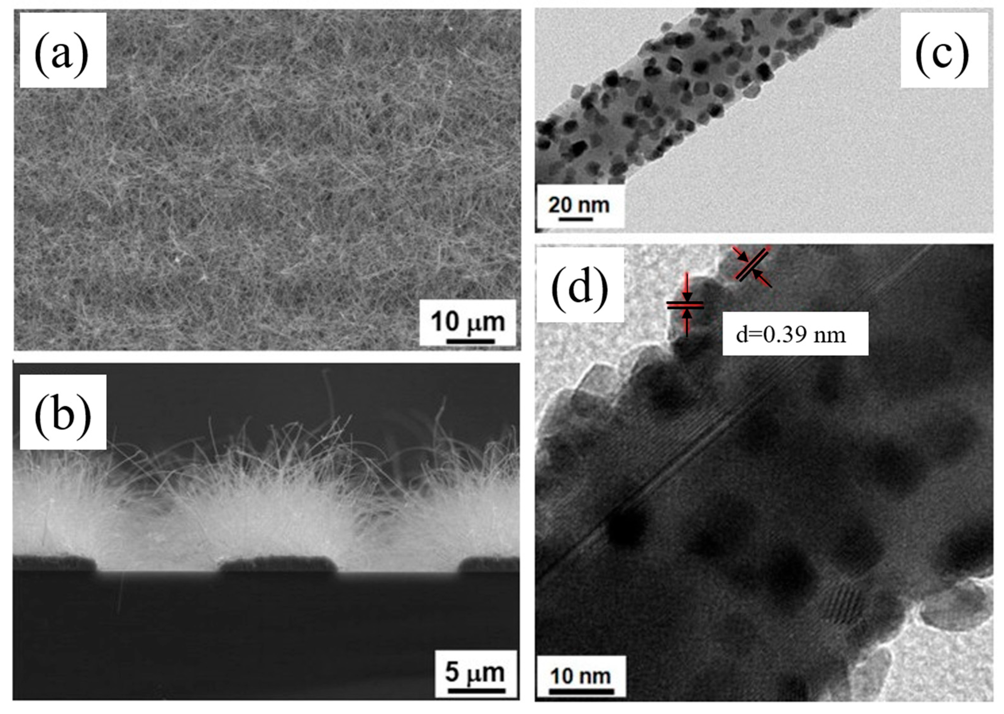 Materials 16 06233 g023