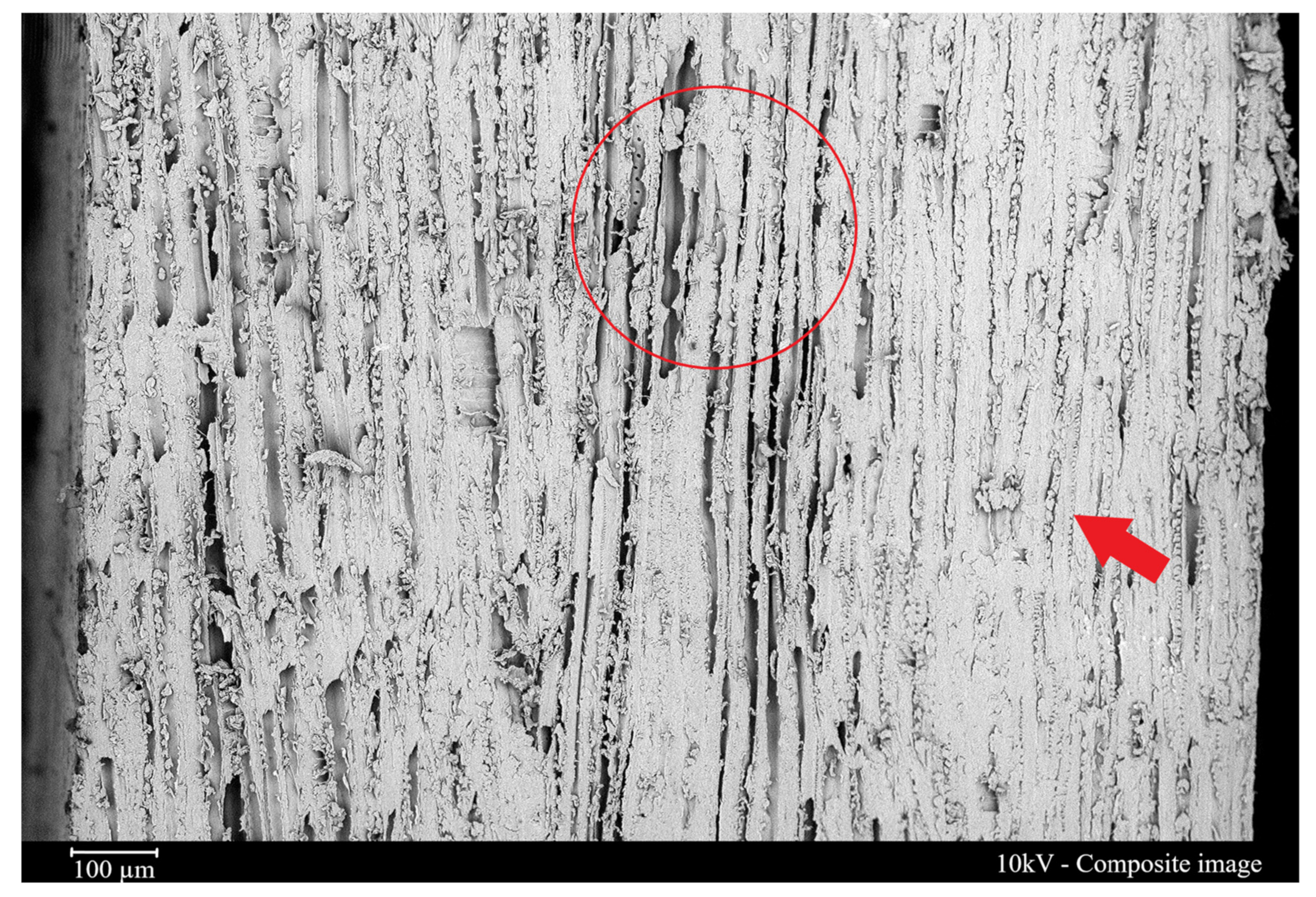 Materials 16 06237 g005