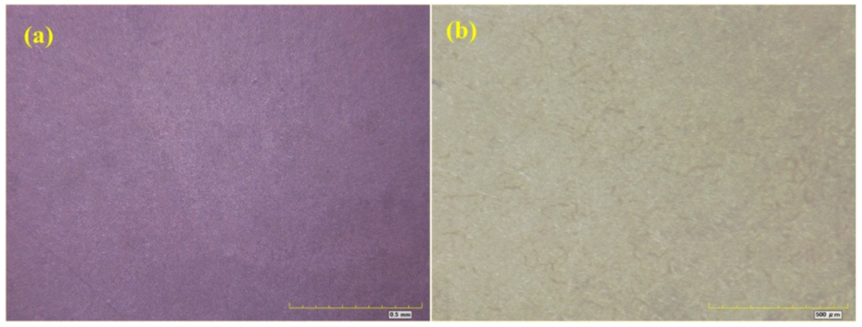 Materials 16 06257 g007