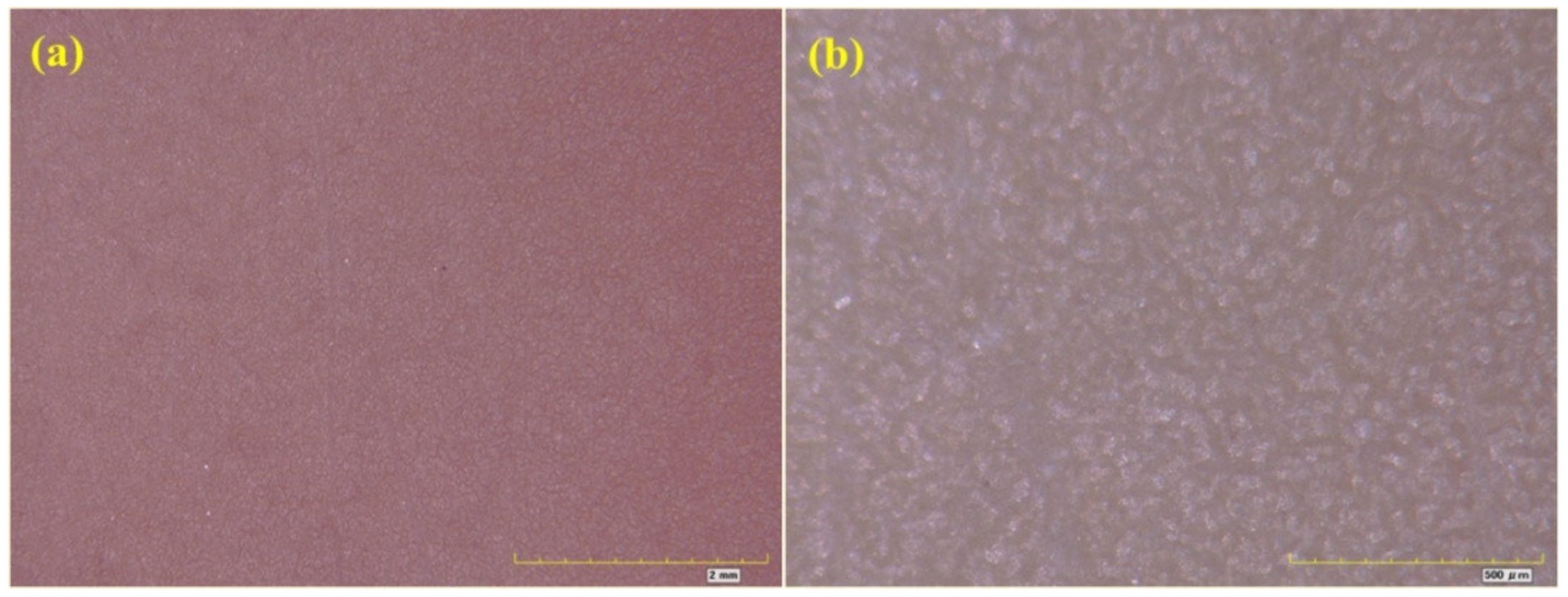 Materials 16 06257 g014