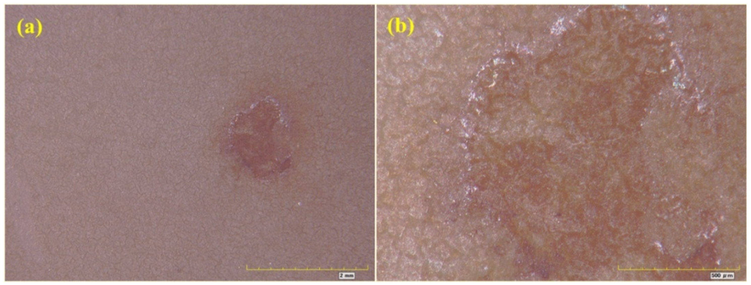 Materials 16 06257 g015