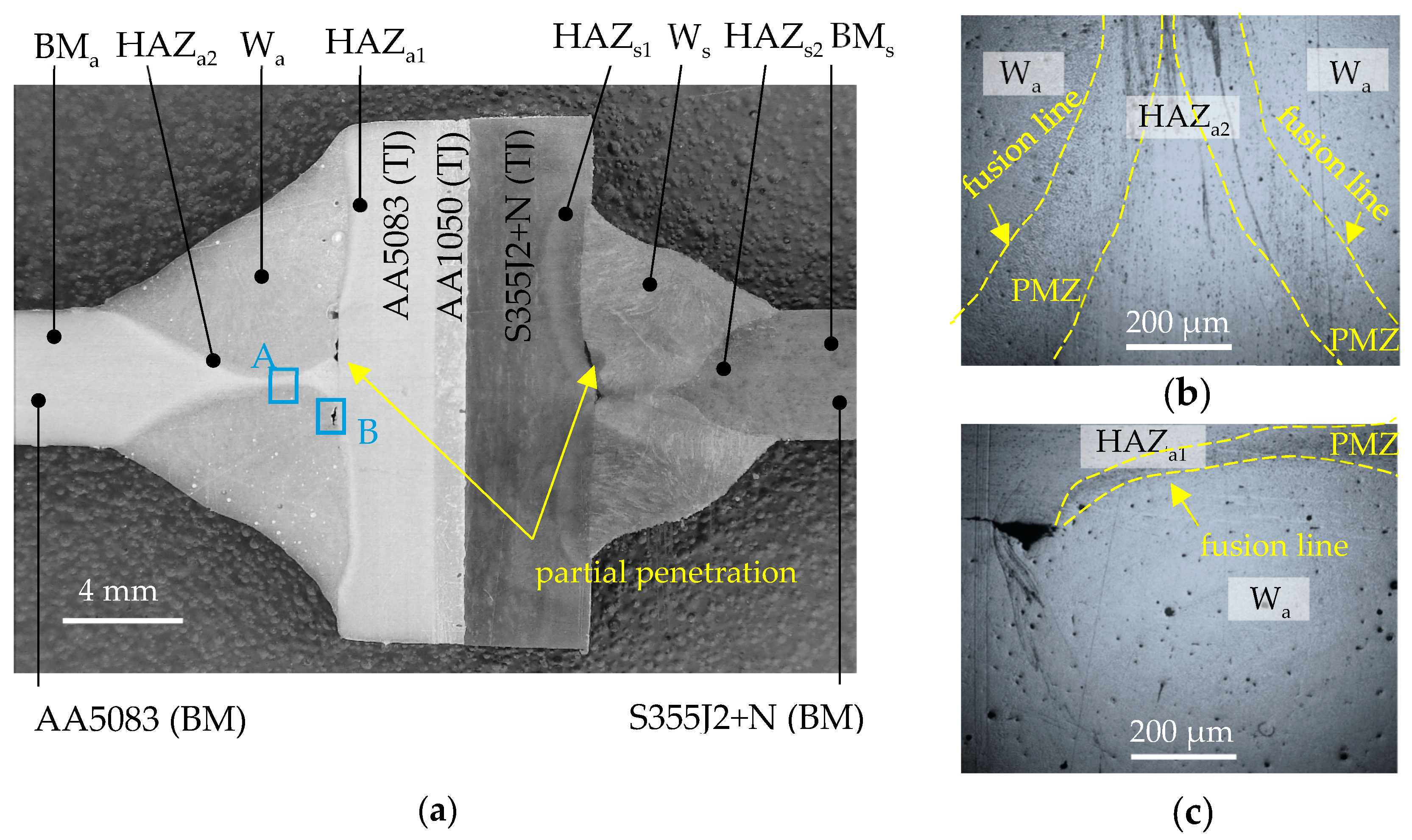 Materials 16 06259 g005