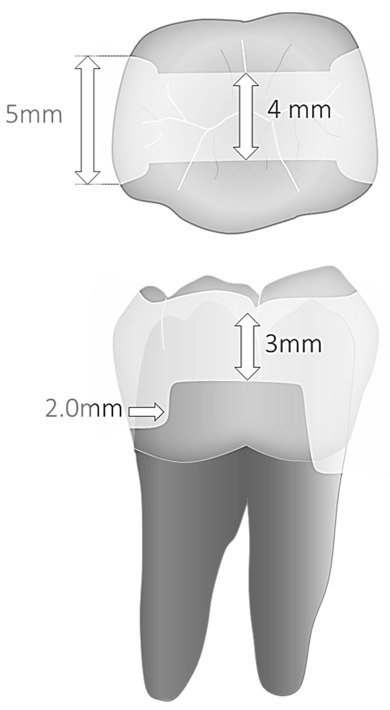 Materials 16 06325 g001