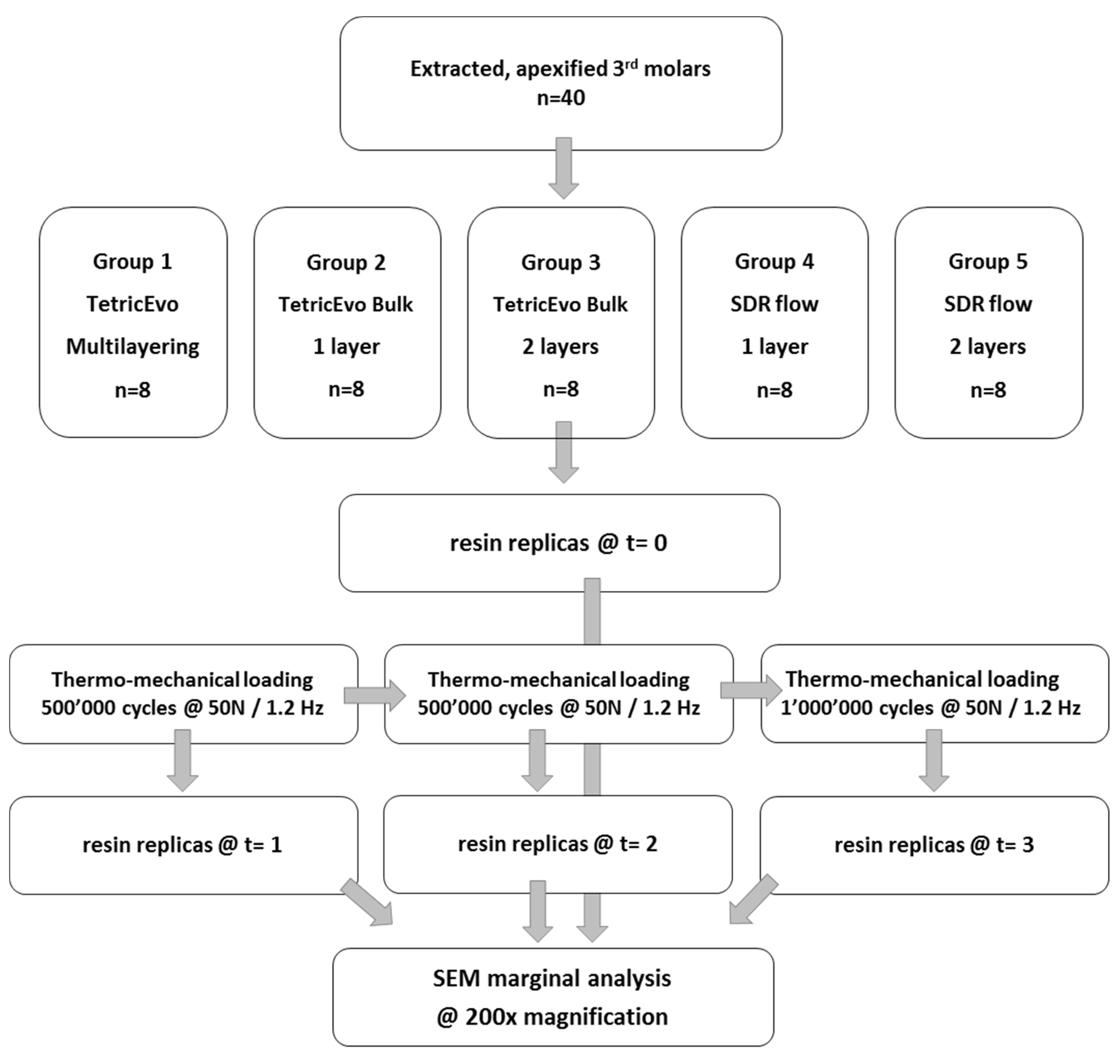 Materials 16 06325 g002