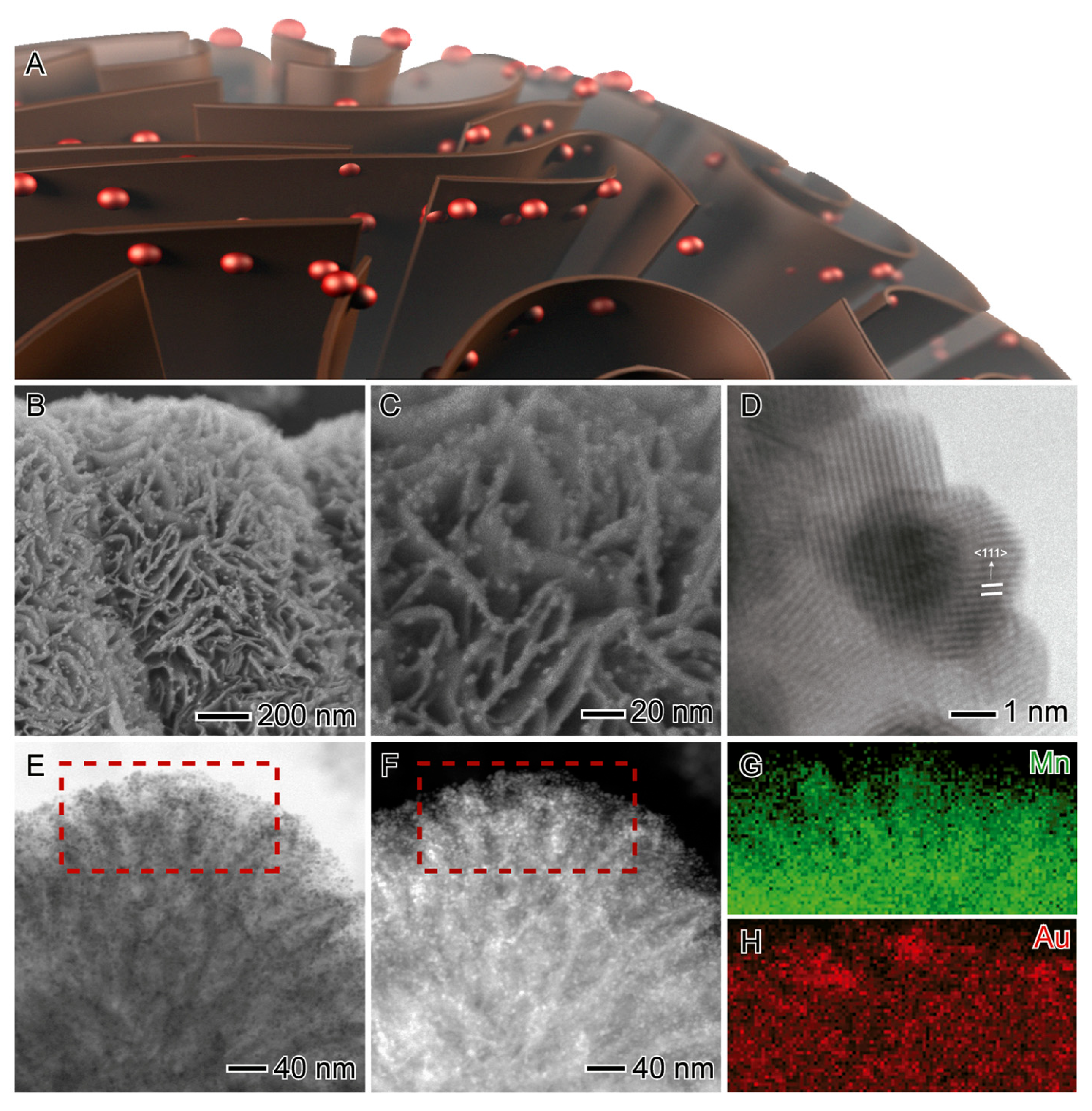 Materials 16 06357 g006