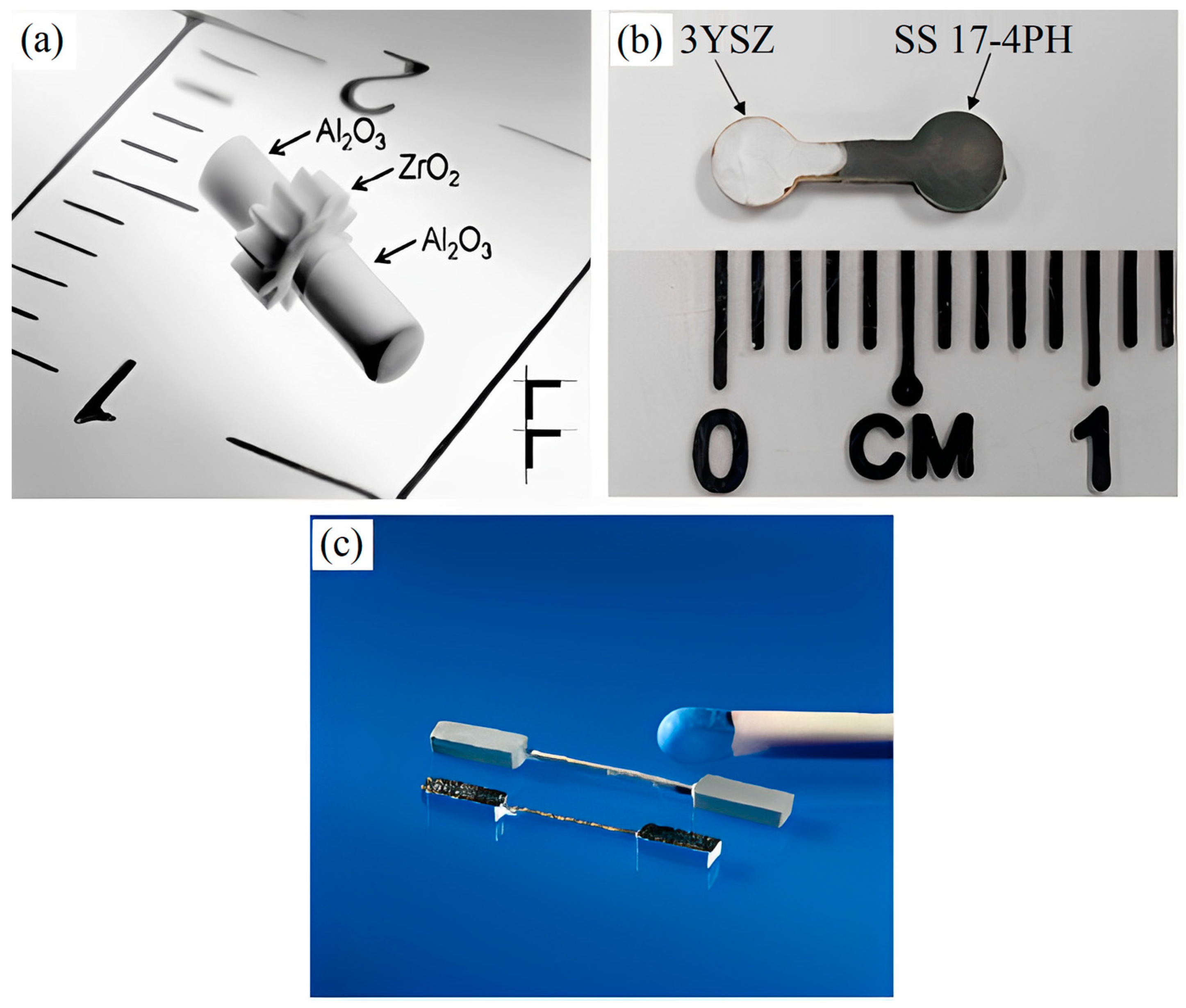 https://www.mdpi.com/materials/materials-16-06375/article_deploy/html/images/materials-16-06375-g001.png