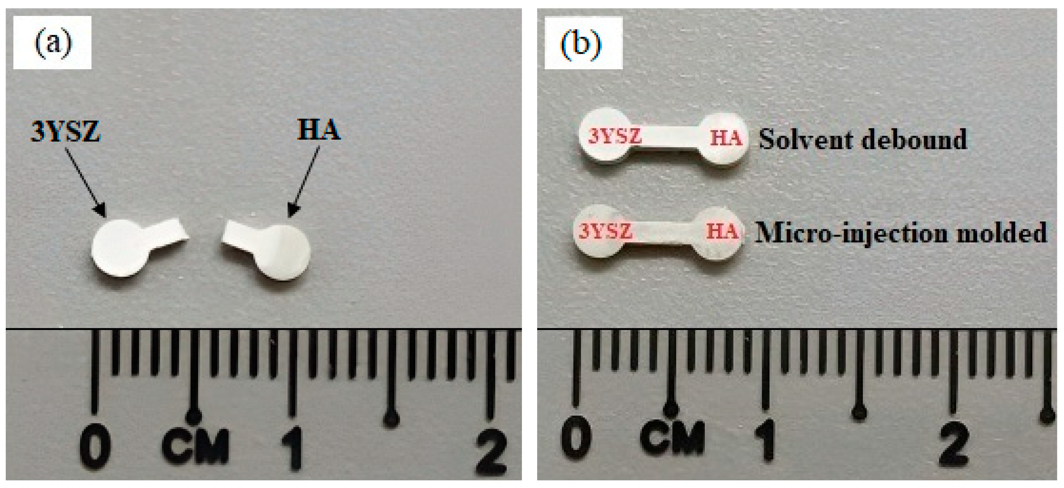 Materials 16 06375 g014