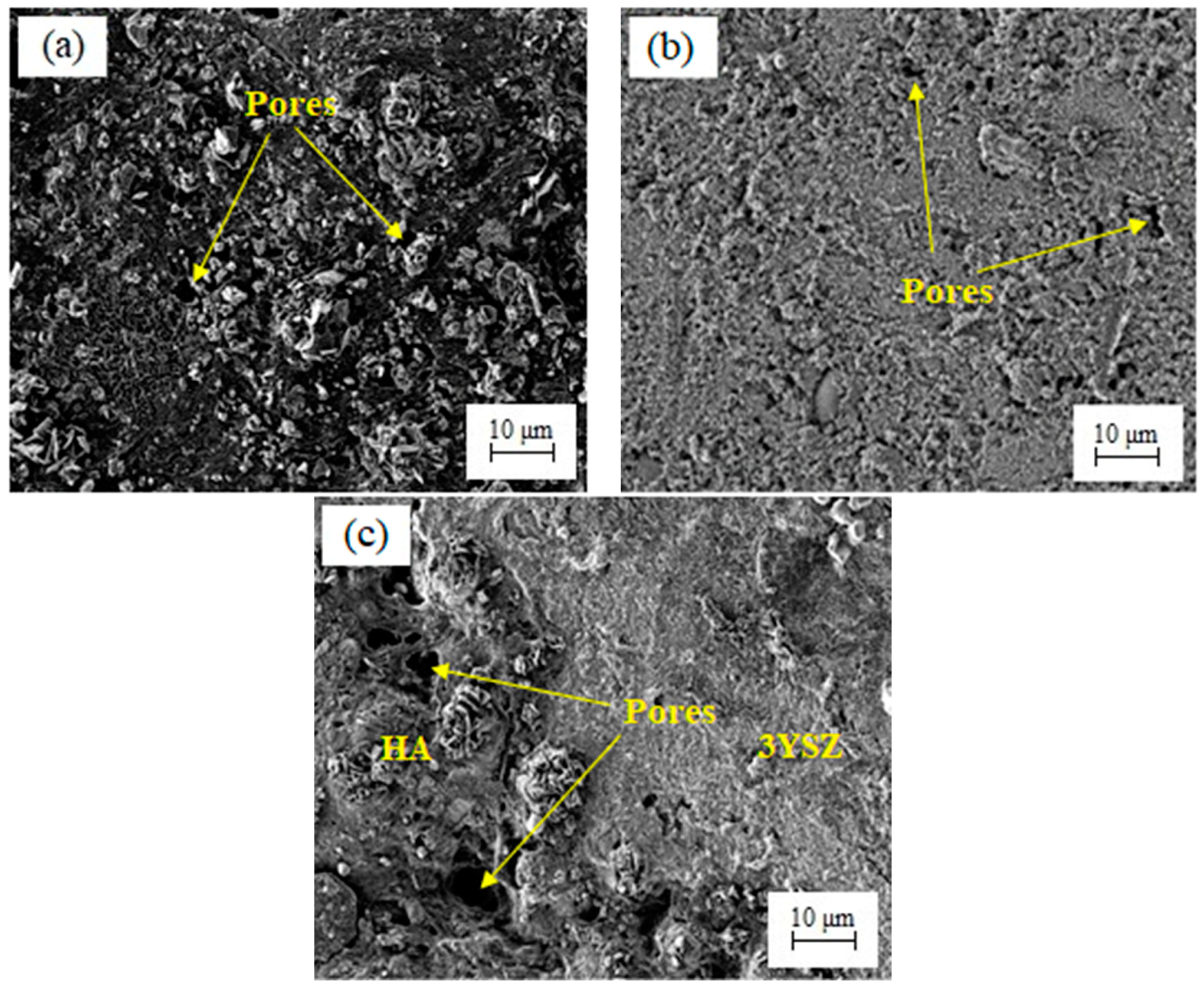 Materials 16 06375 g015