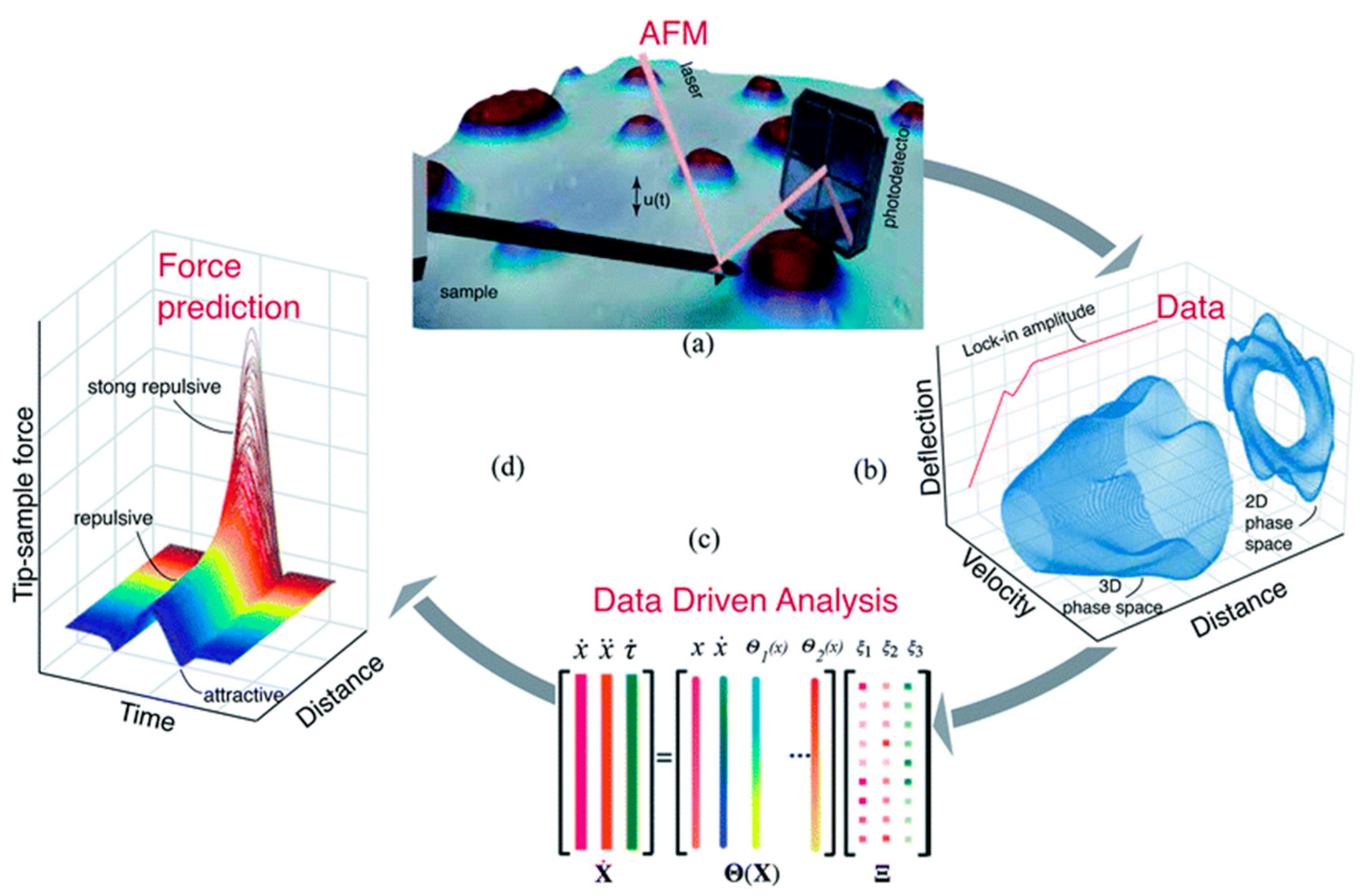 Materials 16 06379 g006 Materials 16 06379 g006