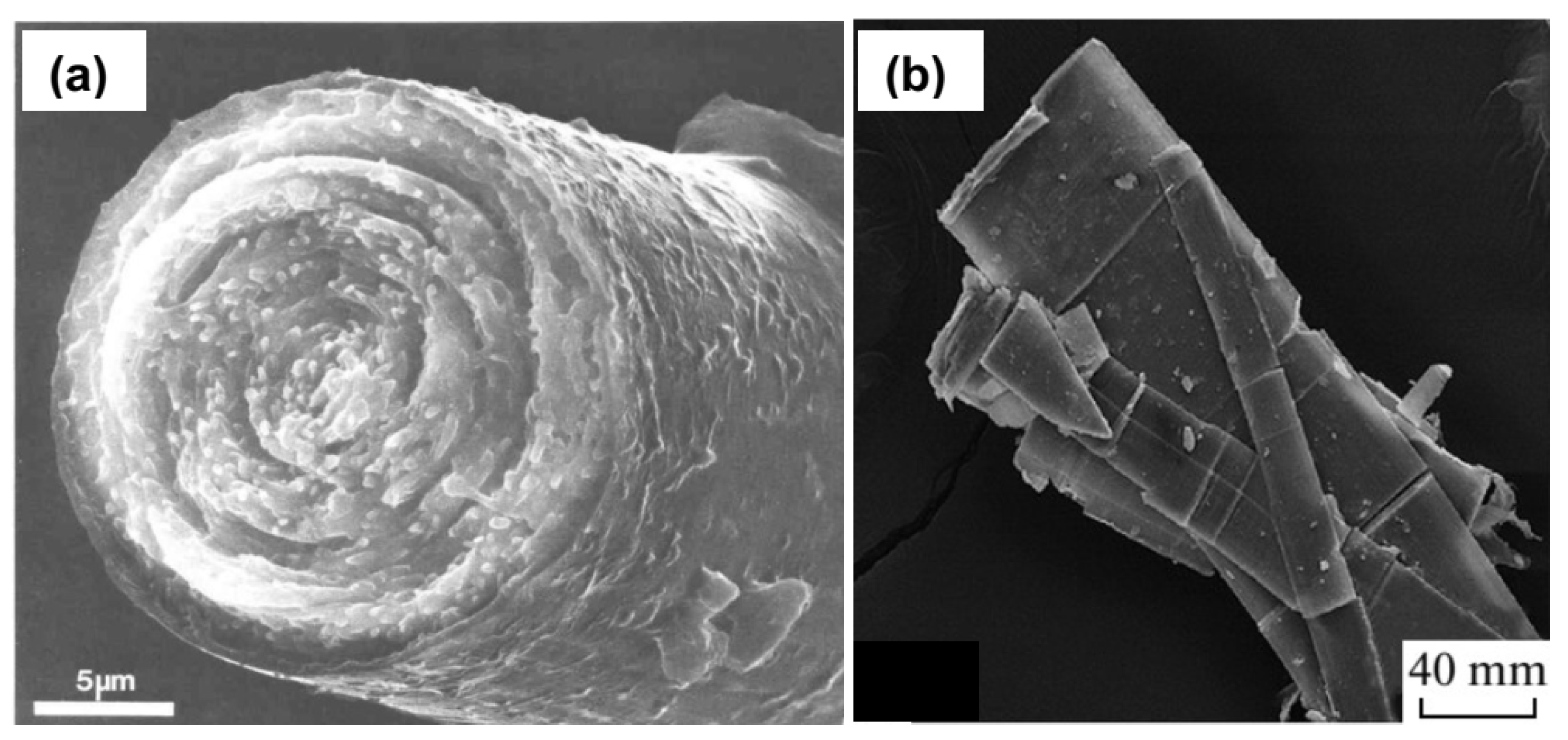 Materials 16 06381 g005