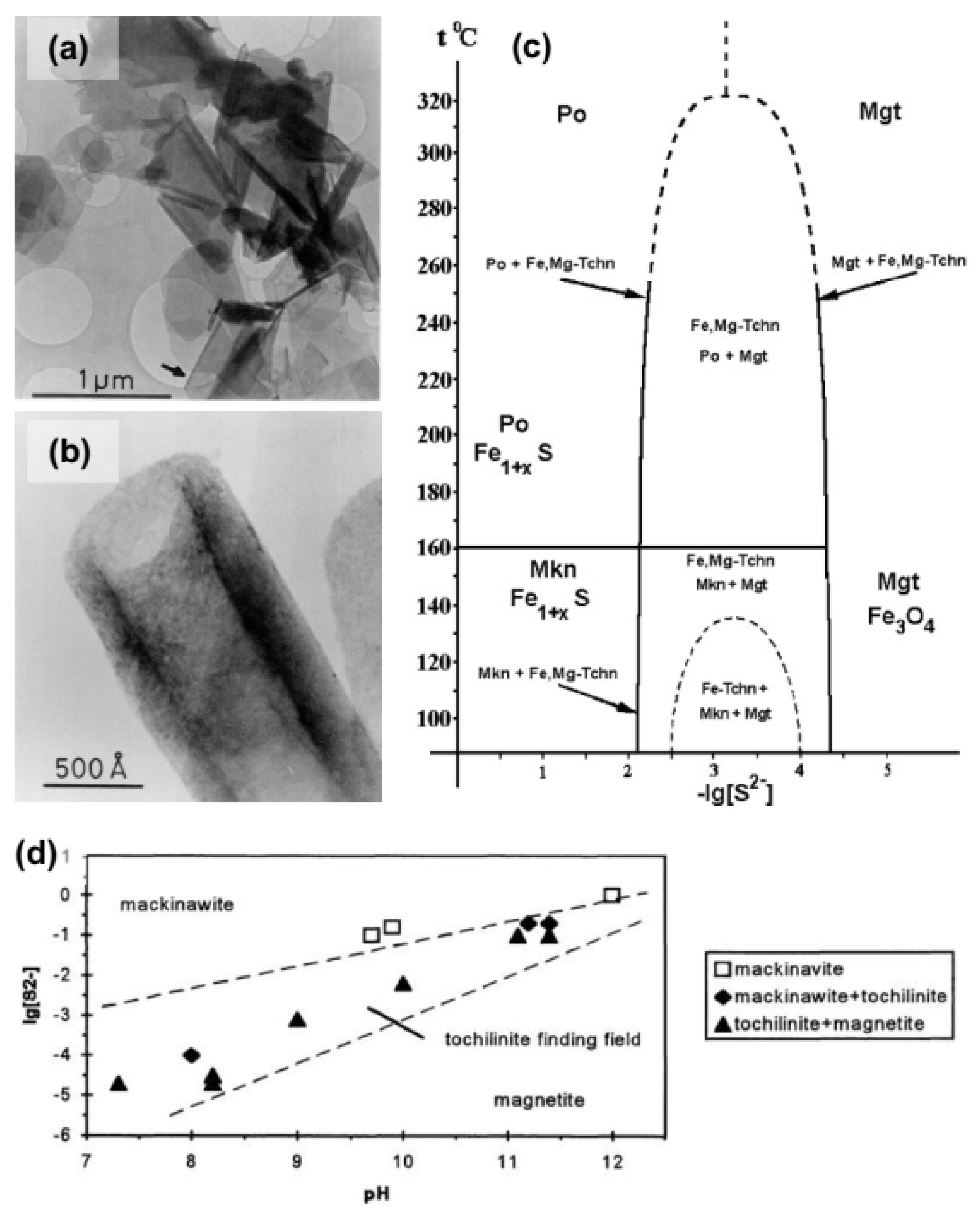 Materials 16 06381 g009
