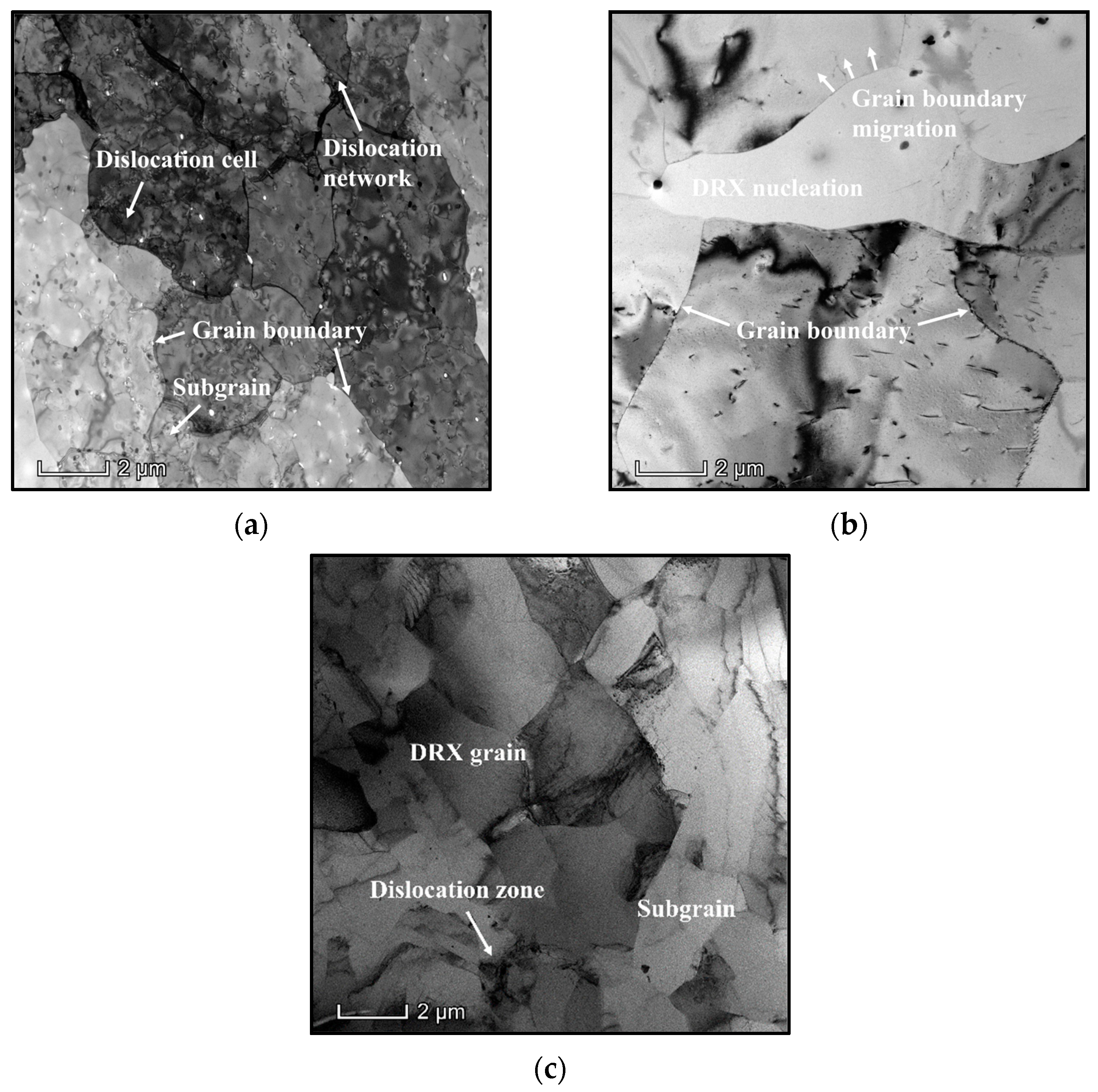 Materials 16 06412 g004