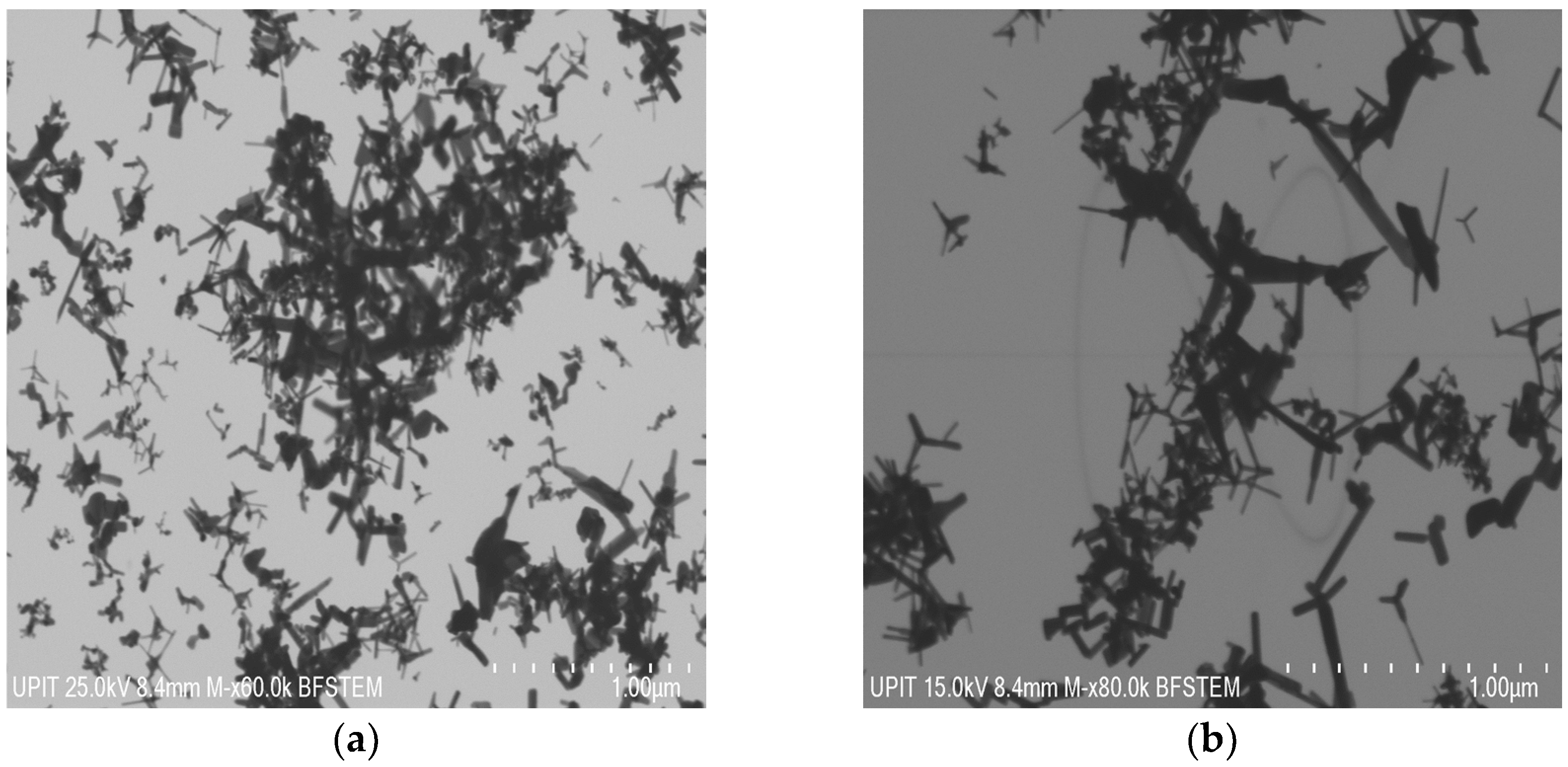 Materials 16 06417 g008a