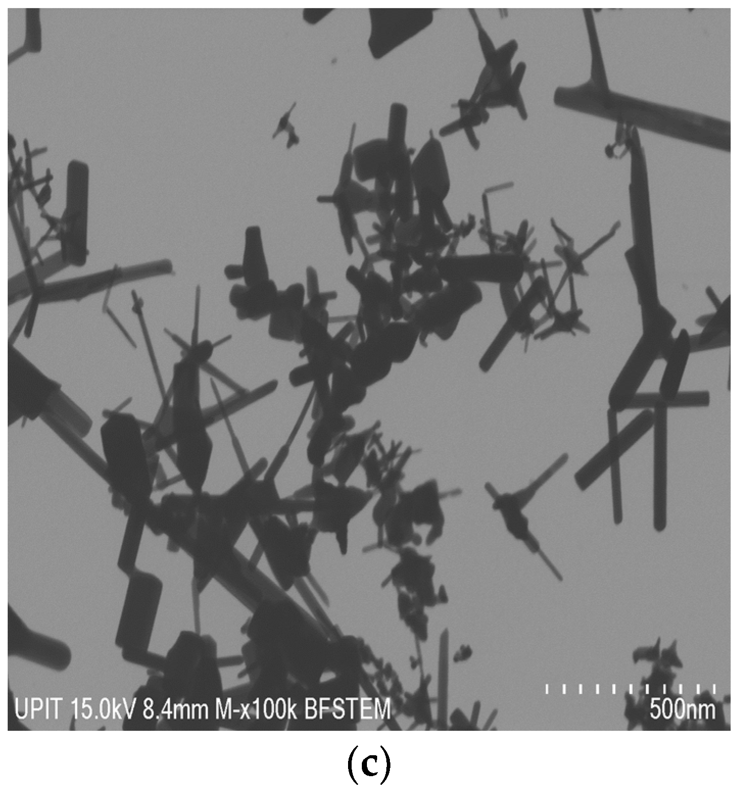 Materials 16 06417 g008b