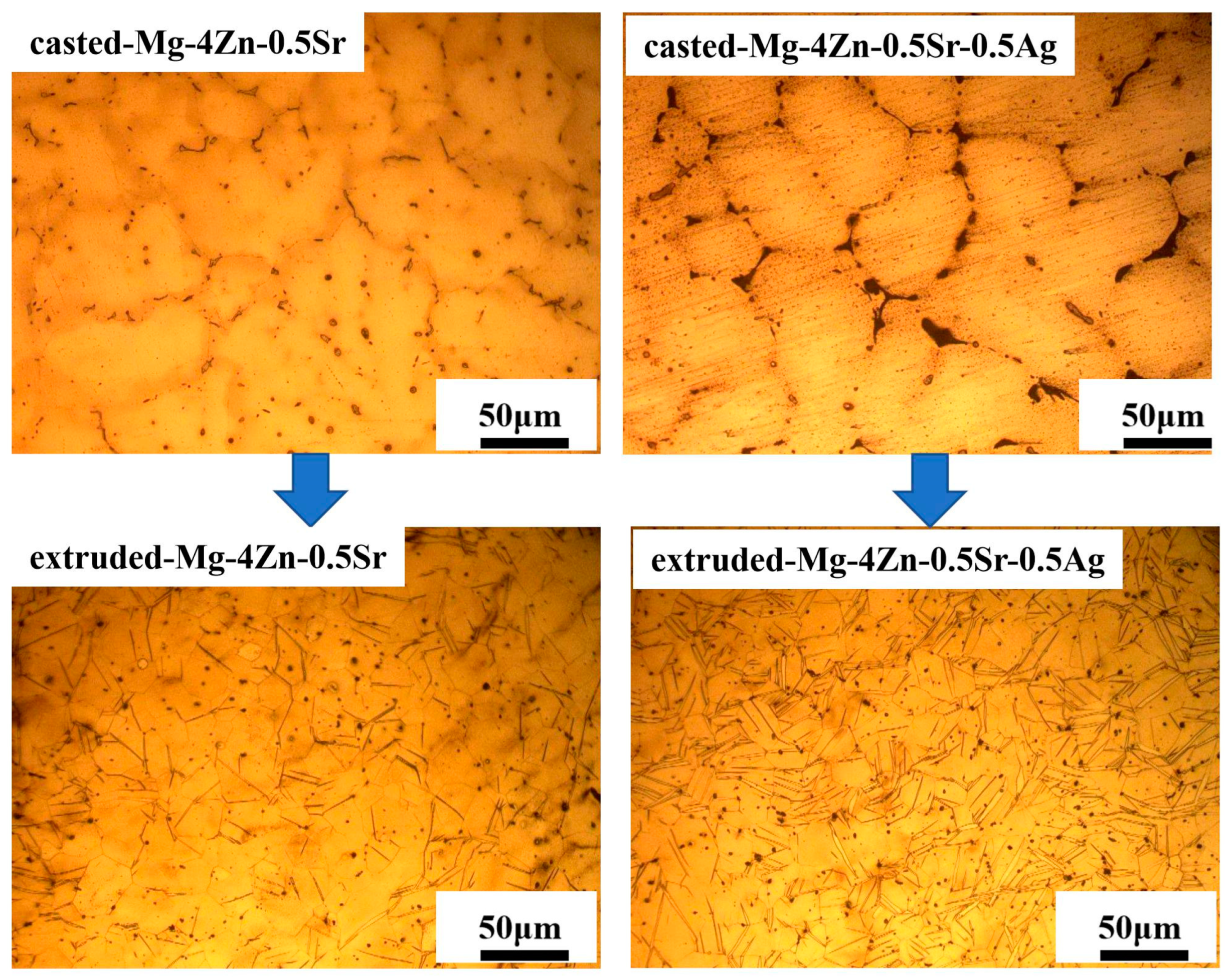 Materials 16 06423 g007