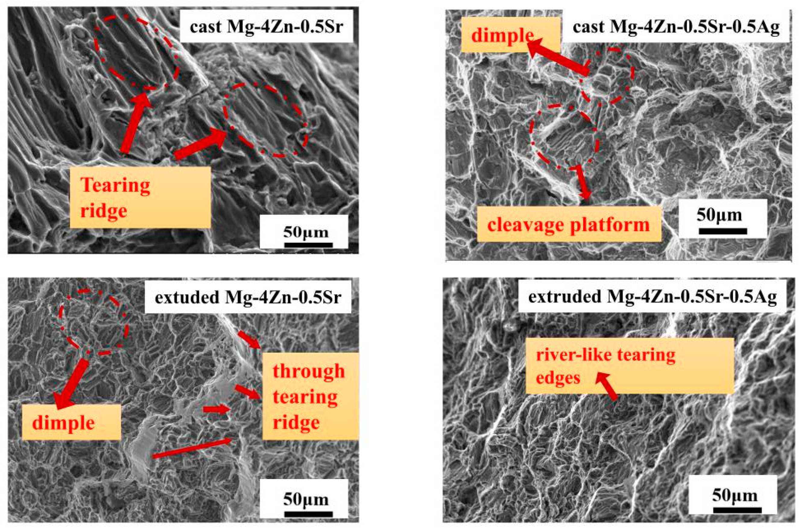 Materials 16 06423 g010