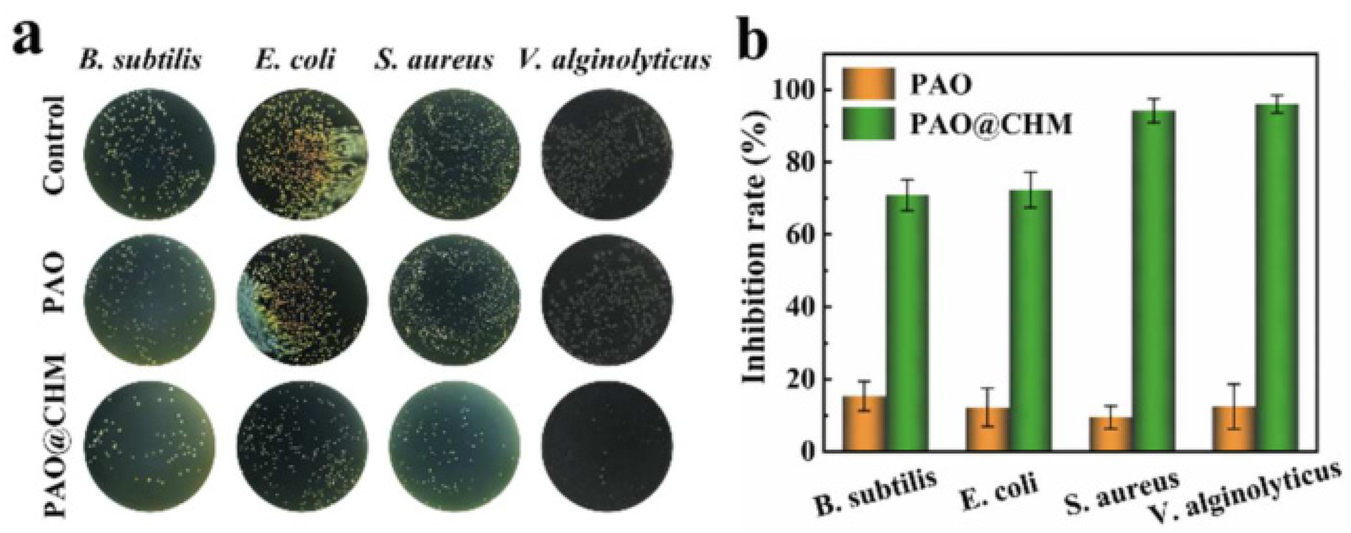 Materials | Free Full-Text | Recent Advances in Antibiofouling 