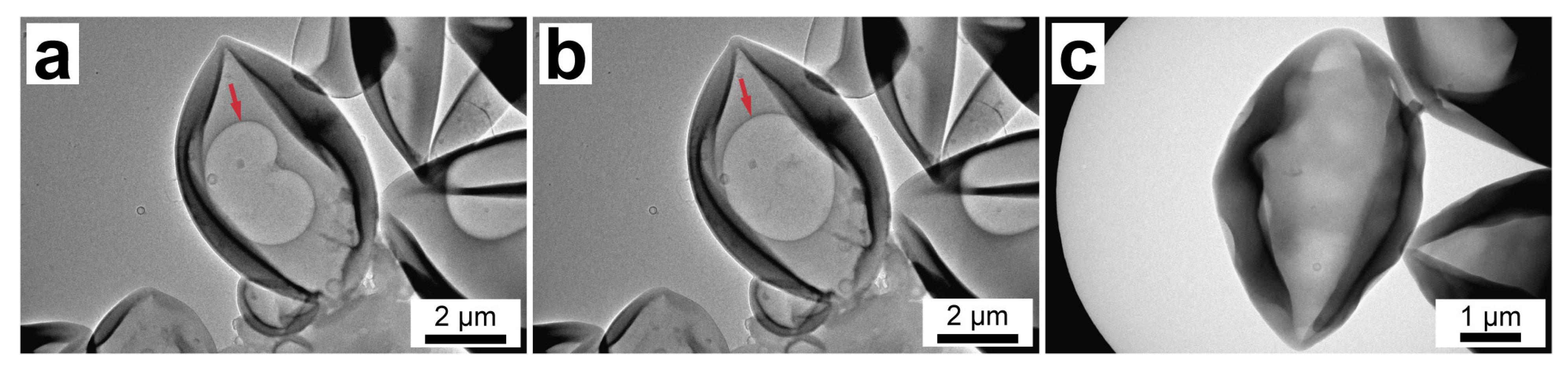 Materials 16 06460 g005